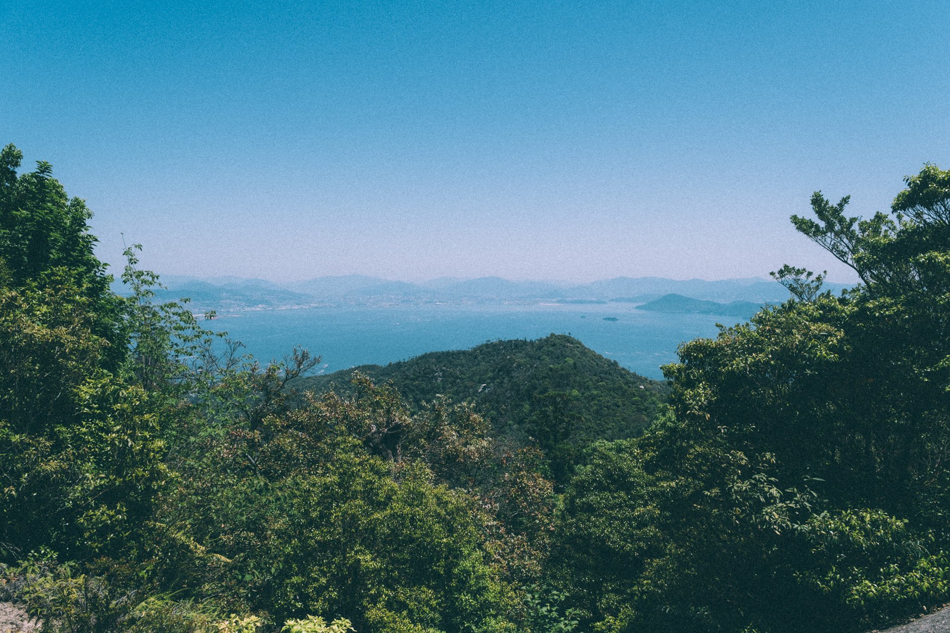 DSCF1572.jpg