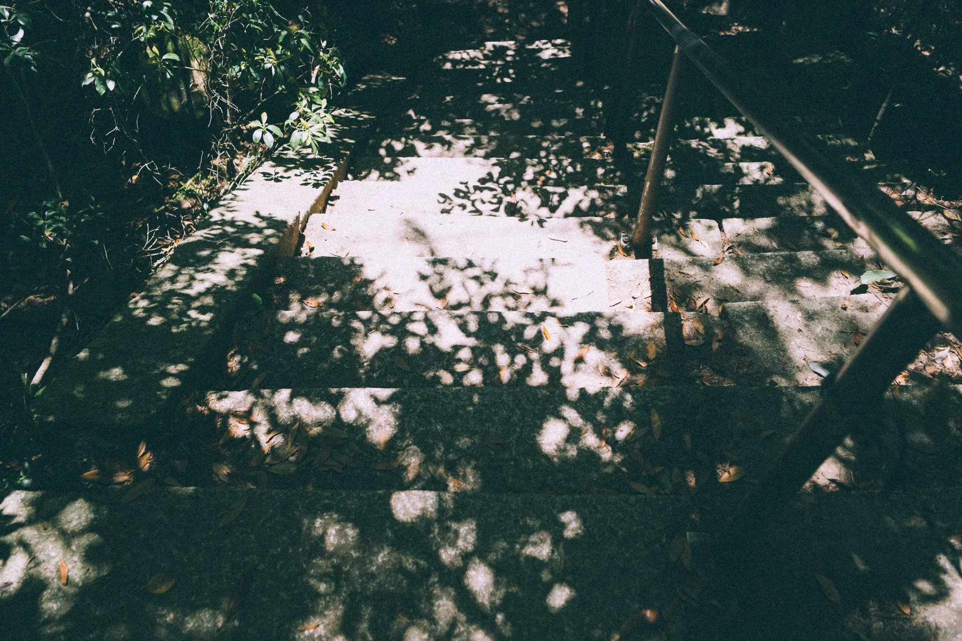DSCF1625.jpg