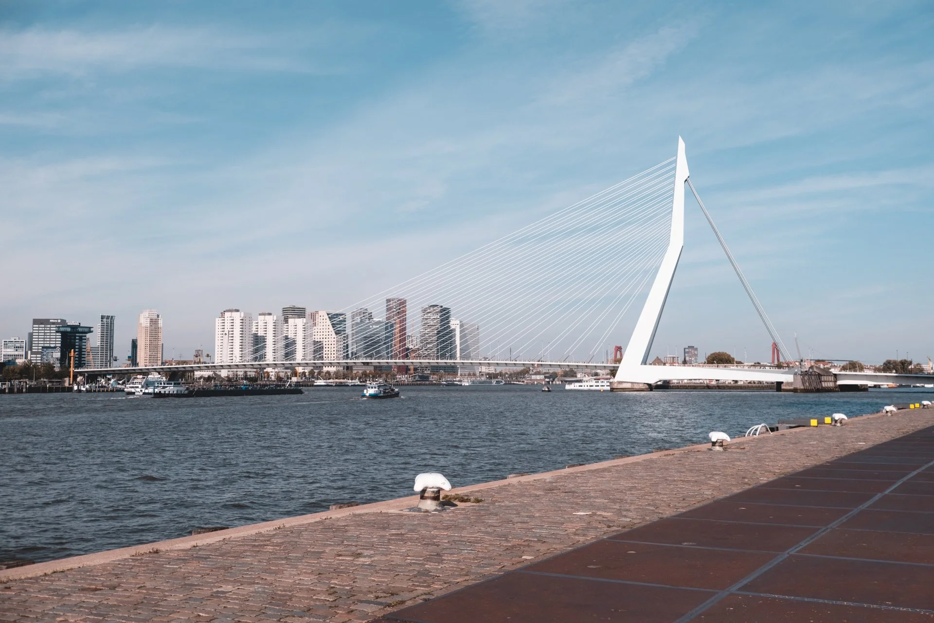 DSCF6873.jpg