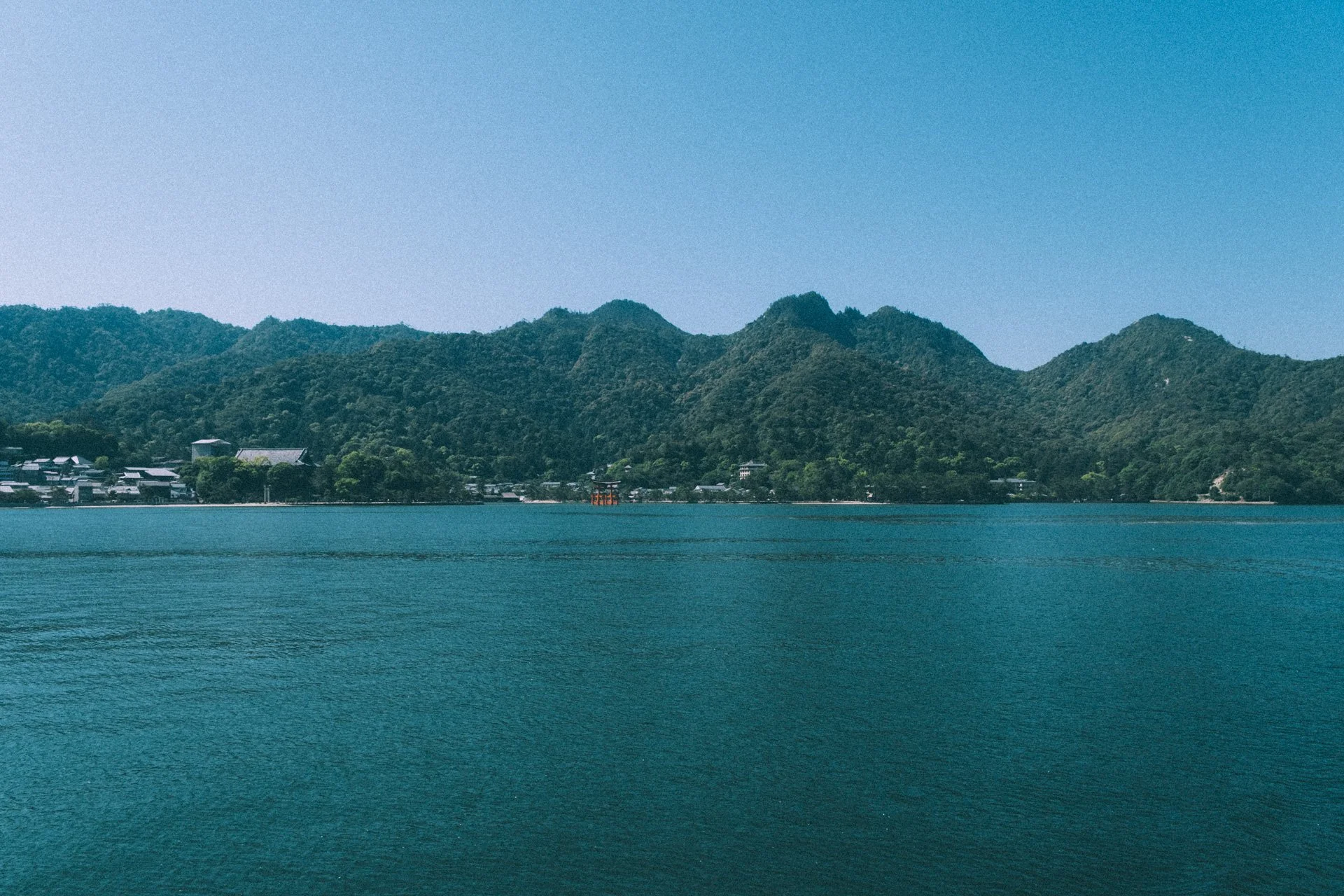 DSCF1503.jpg