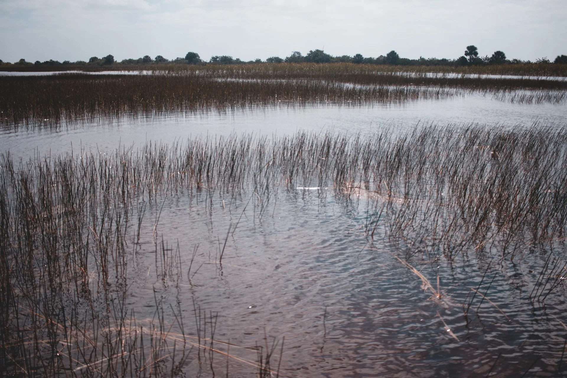 everglades-164.jpg