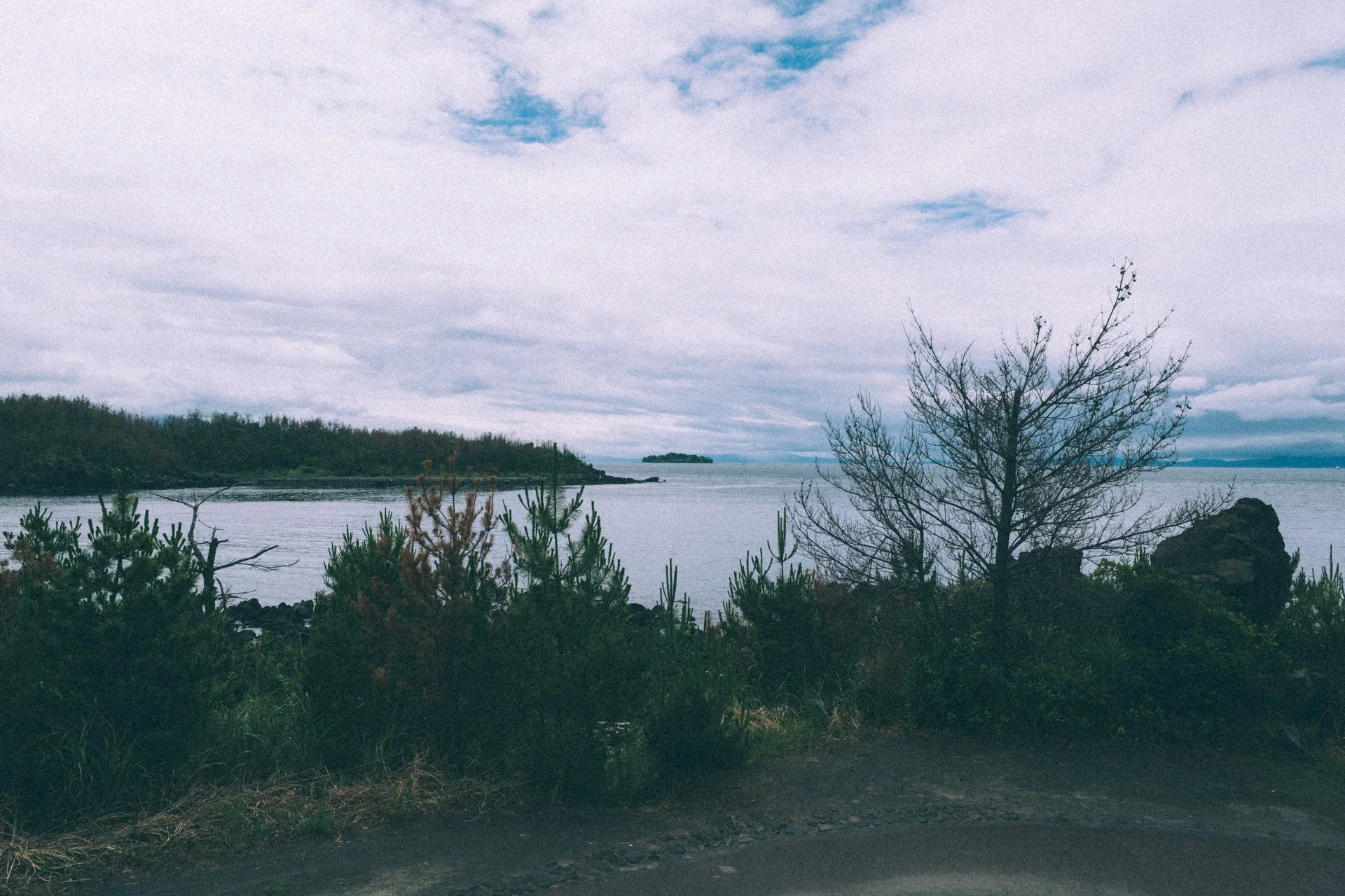 DSCF3569.jpg