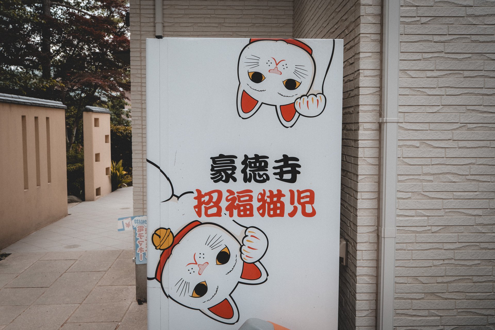 DSCF8023.jpg