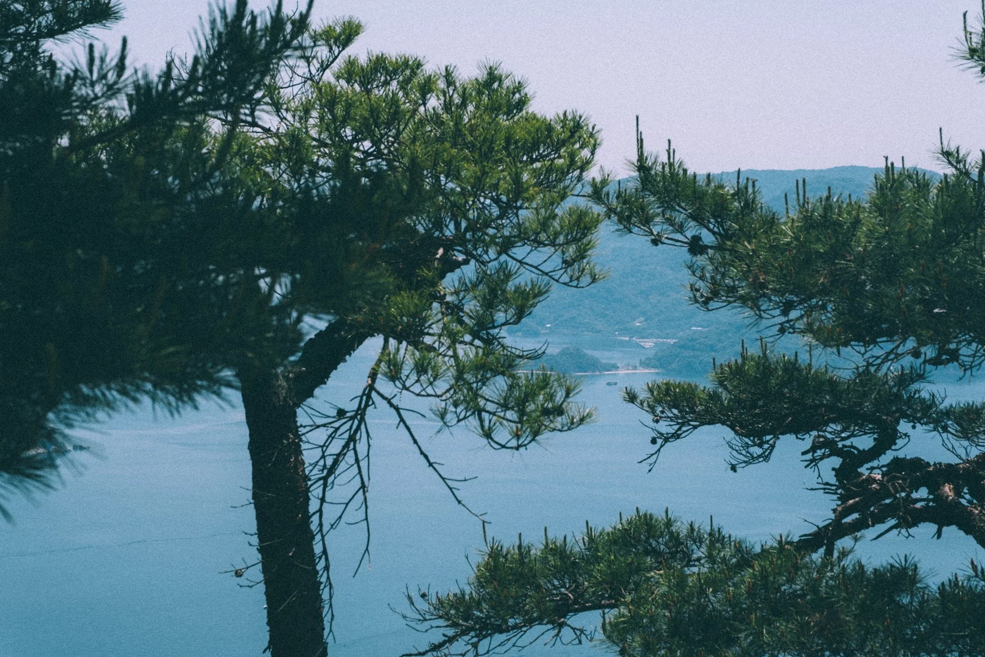DSCF1542.jpg