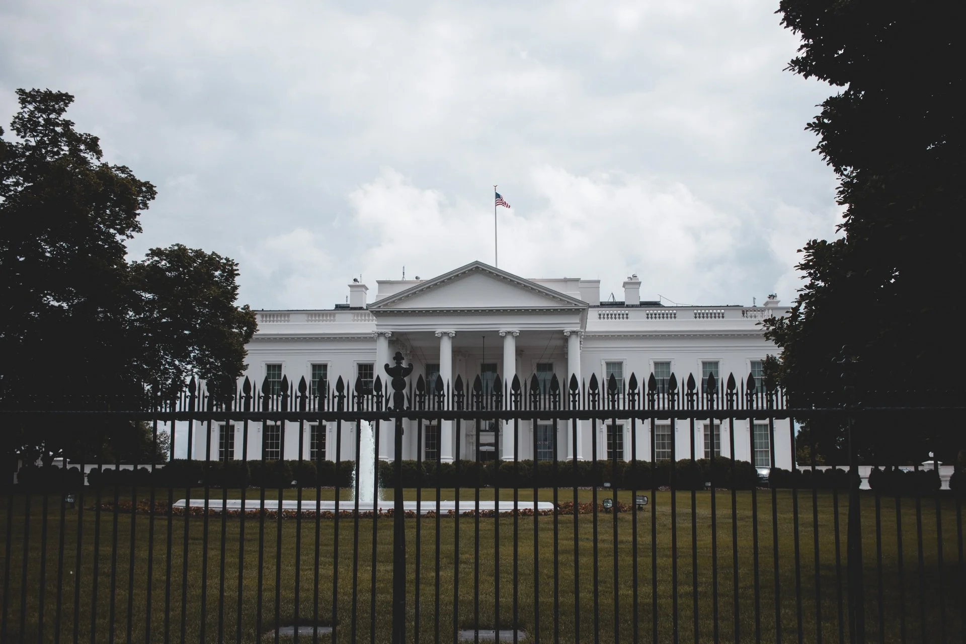 washington-543.jpg