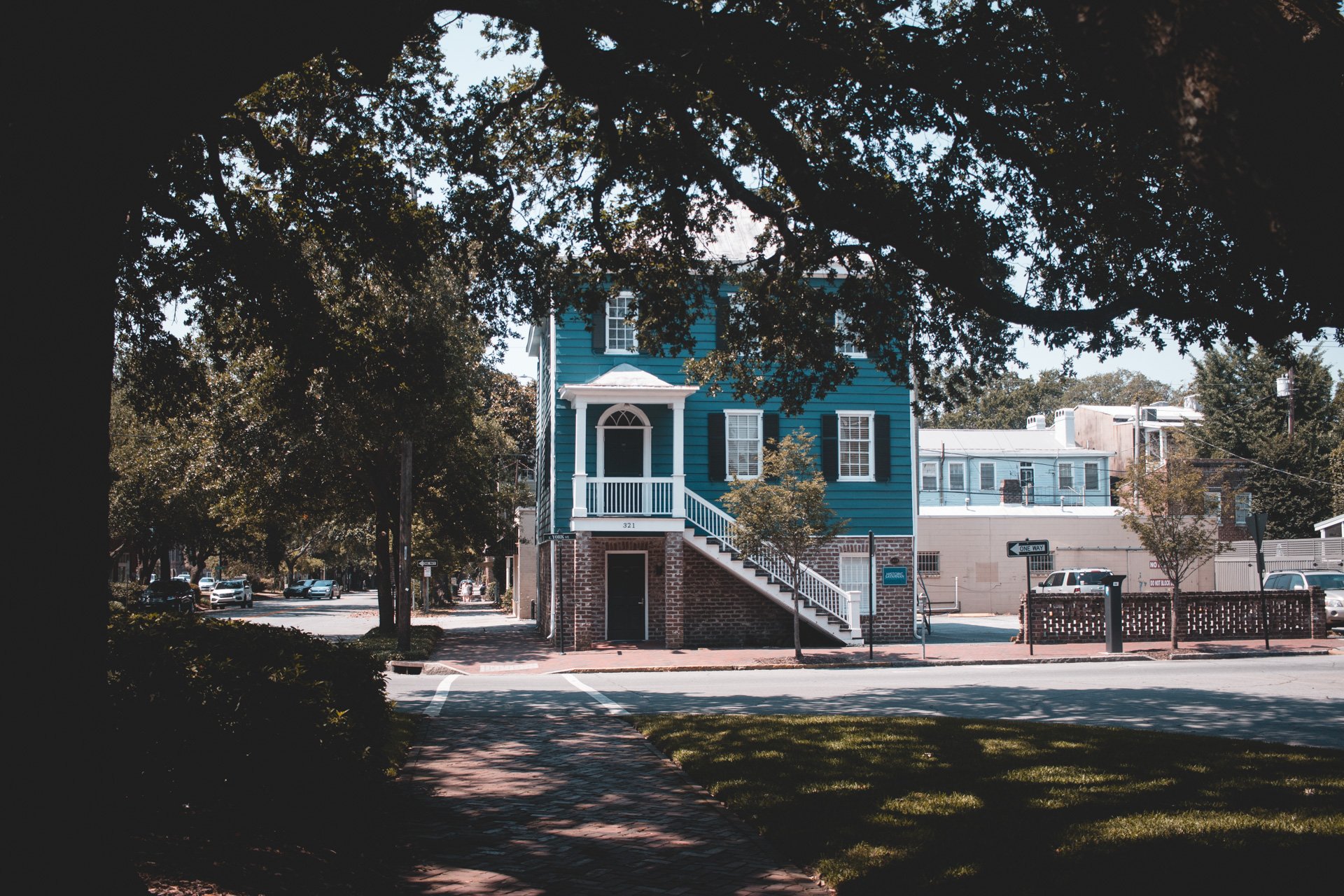 savannah-486.jpg