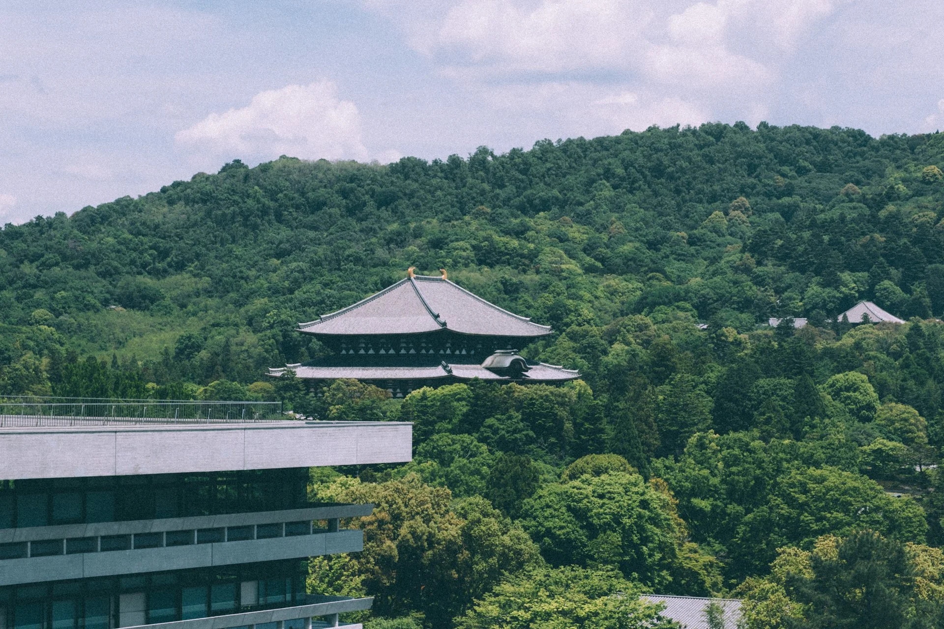 DSCF0514.jpg