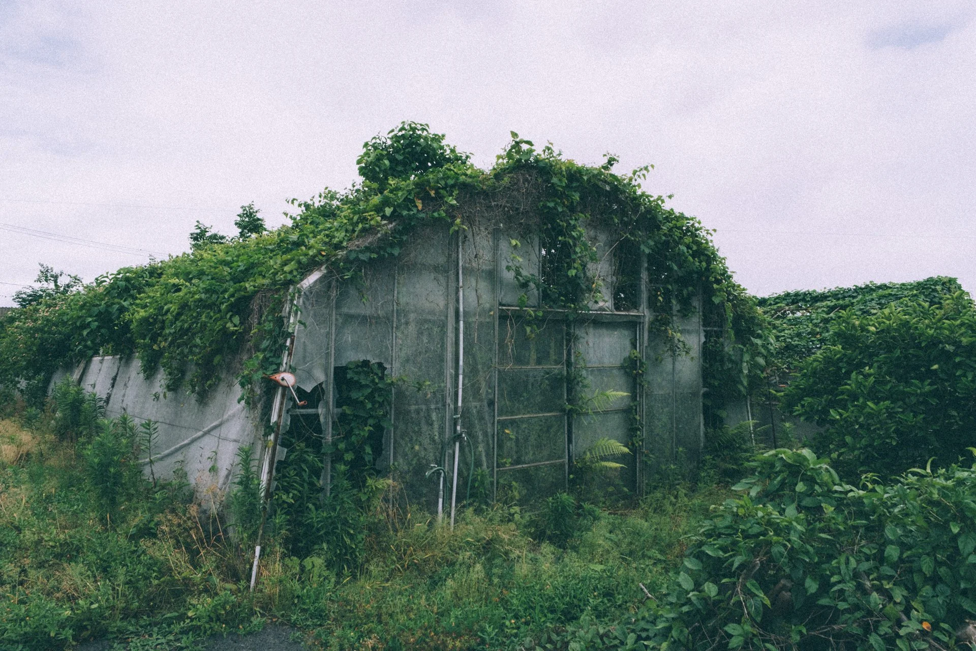 DSCF3685.jpg