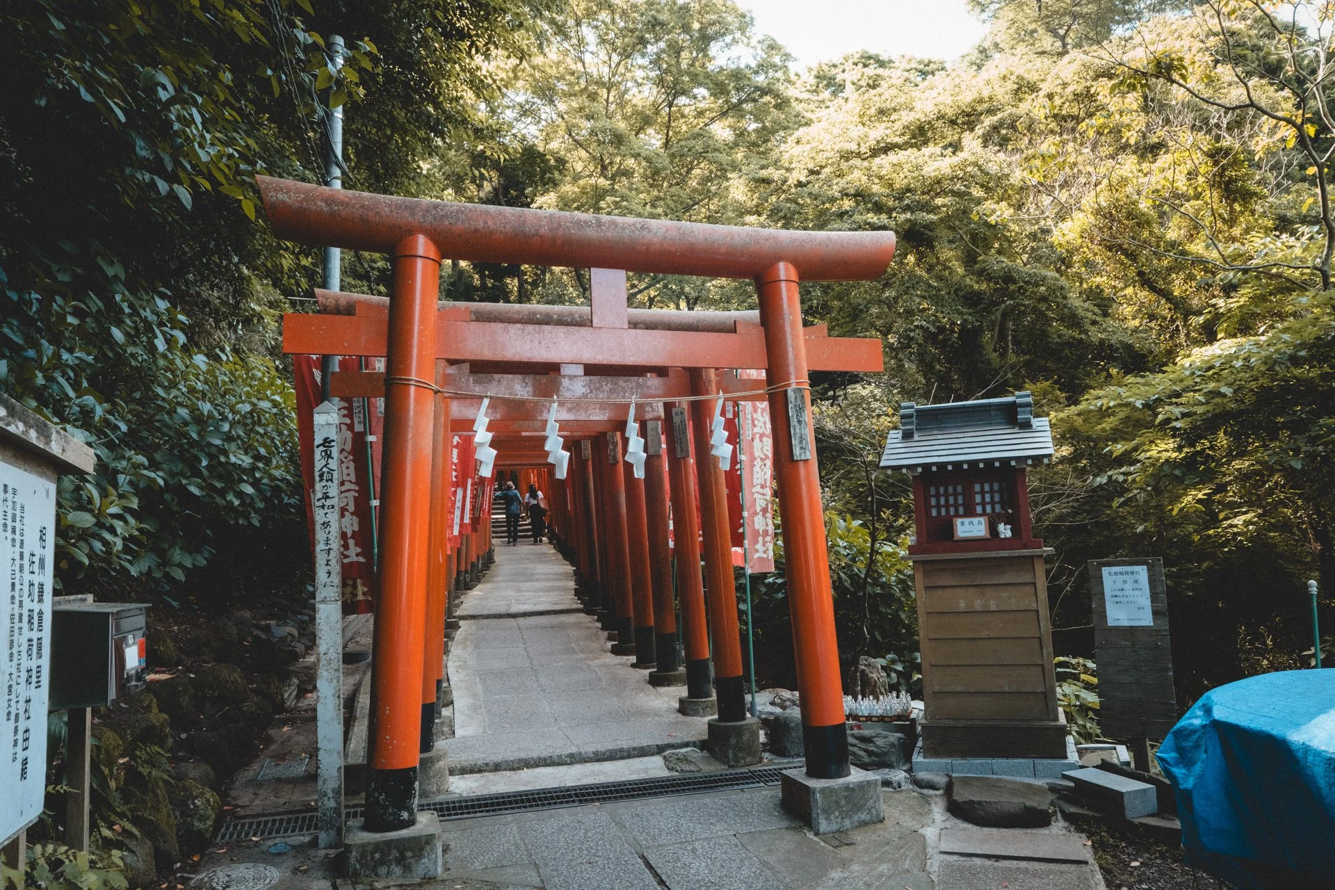 DSCF8661.jpg