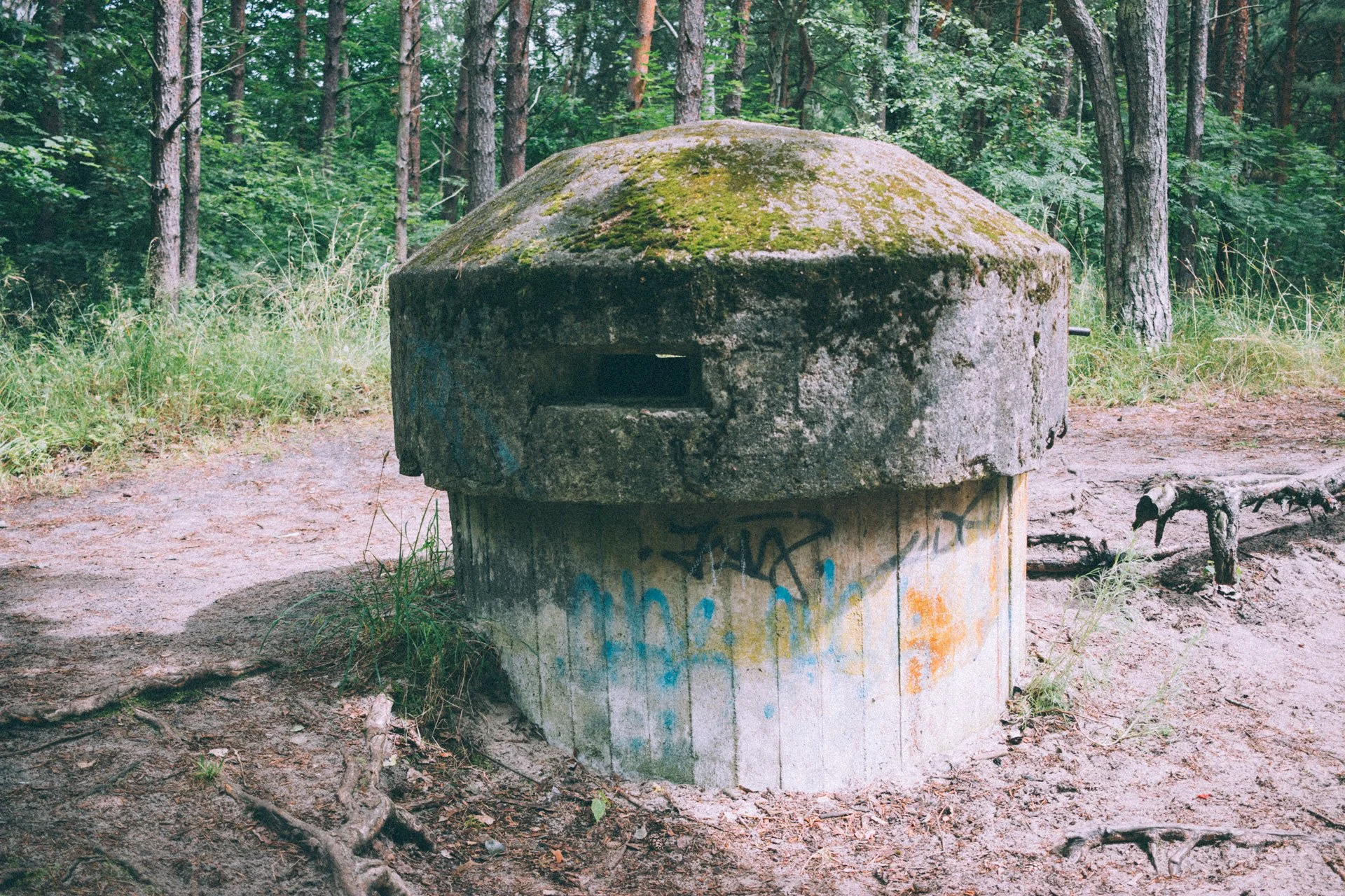 danzig_095.jpg