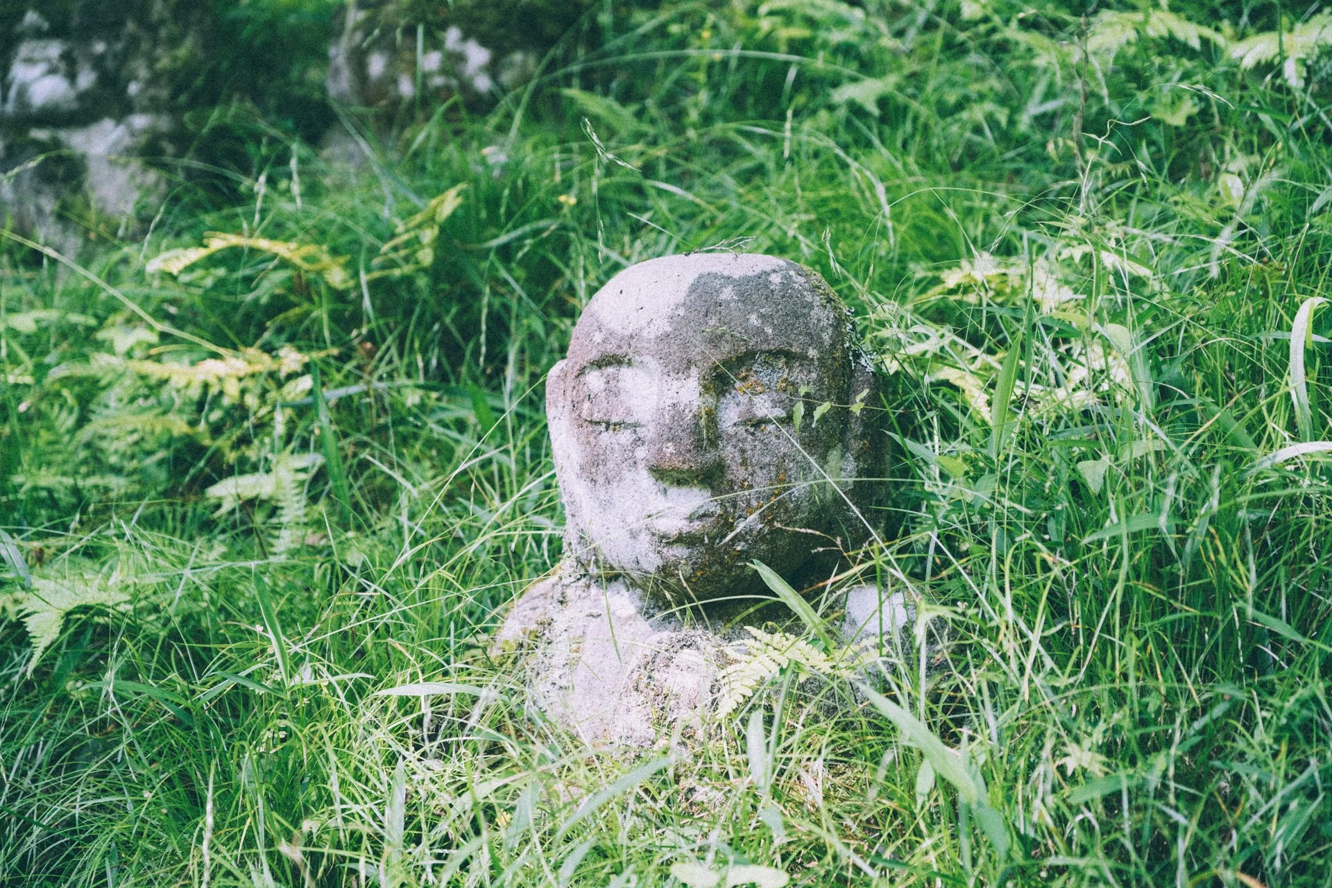 DSCF0721.jpg