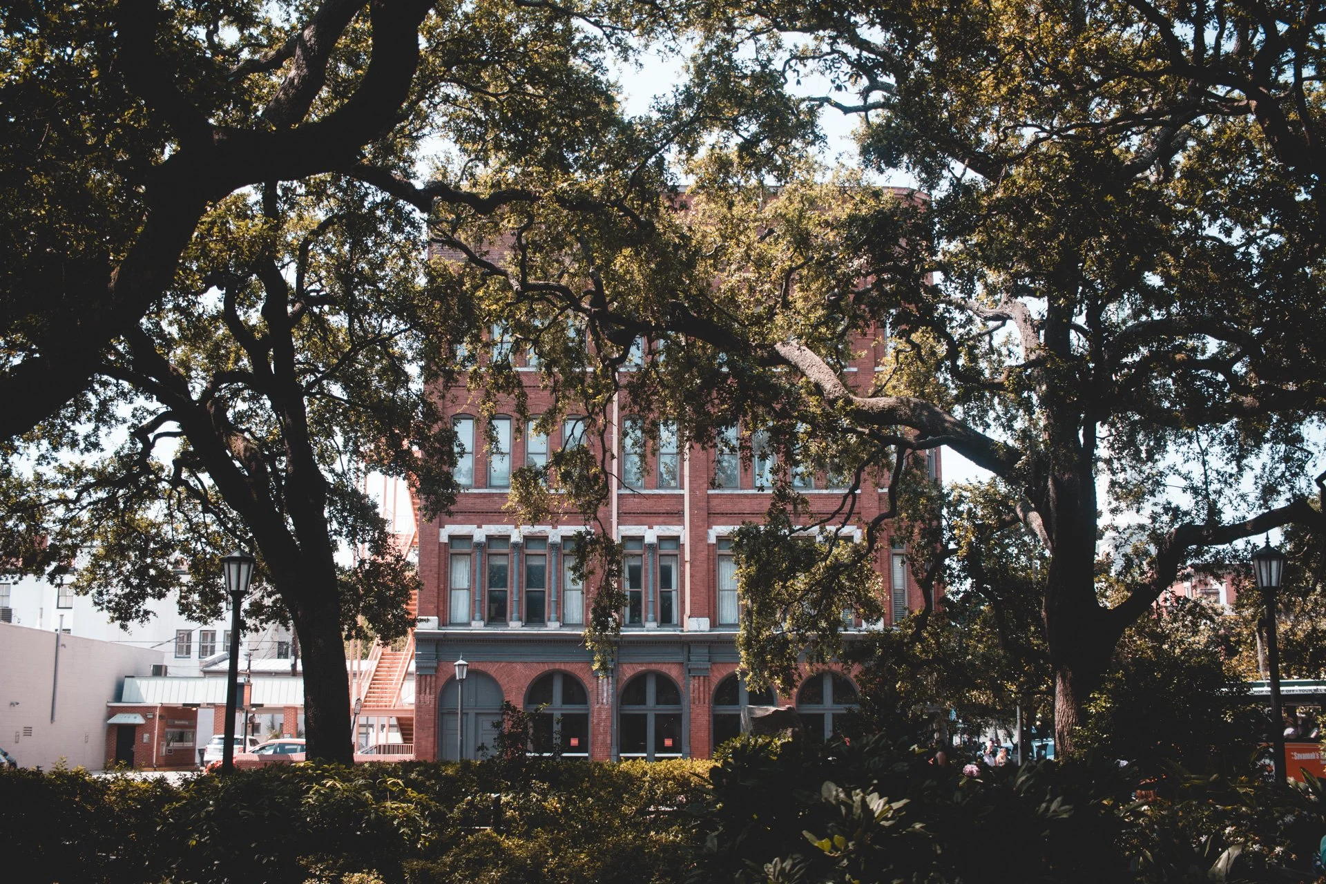 savannah-484.jpg