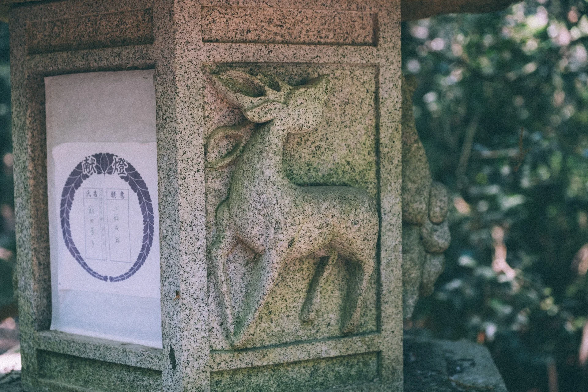 2026 | Nara