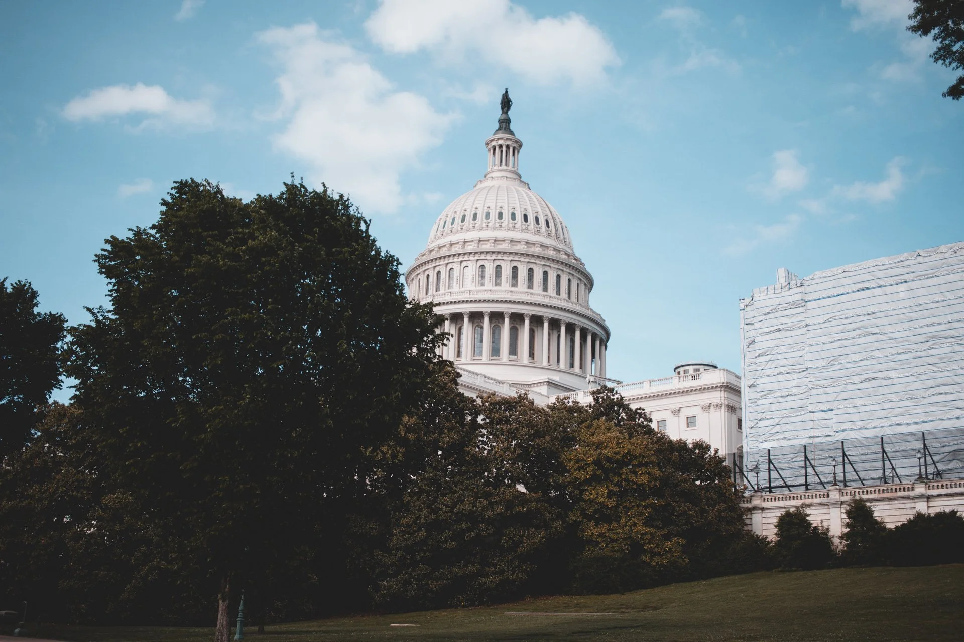 washington-565.jpg