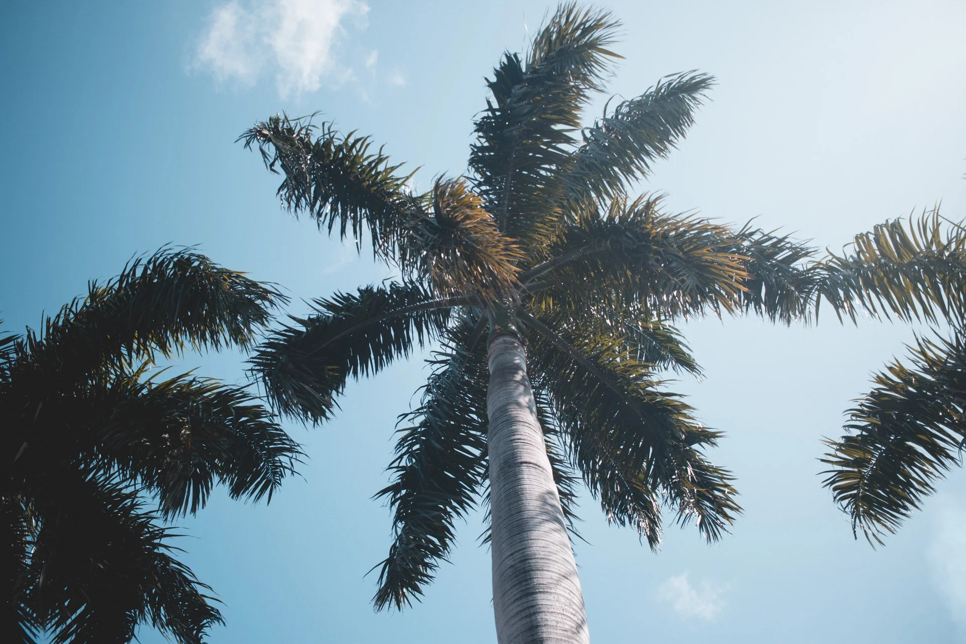 miami-276.jpg