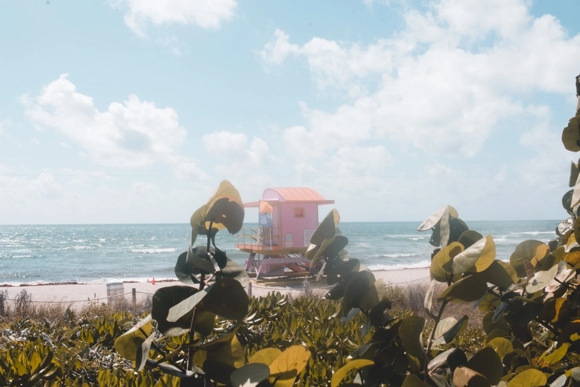 miami-235.jpg