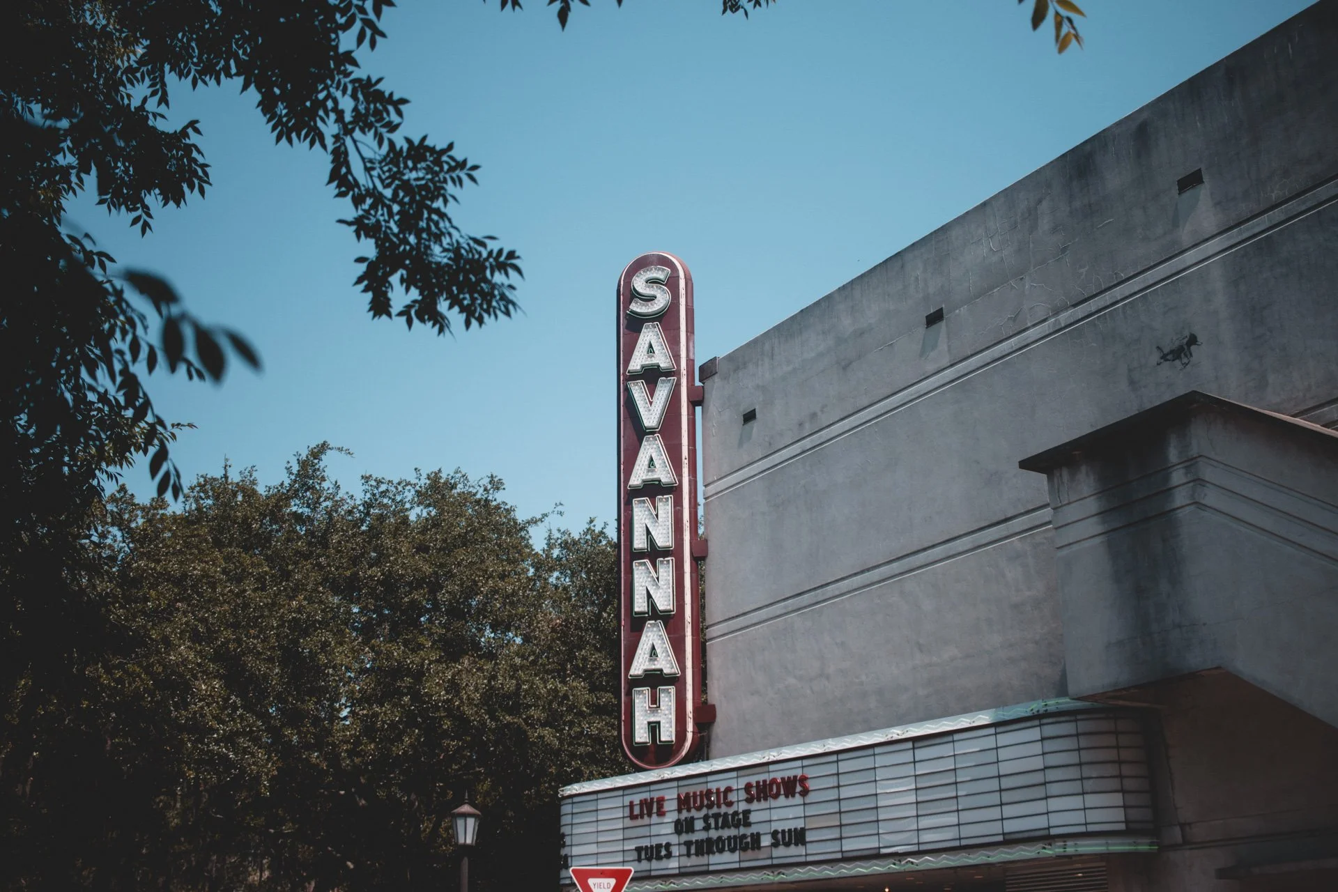 savannah-487.jpg