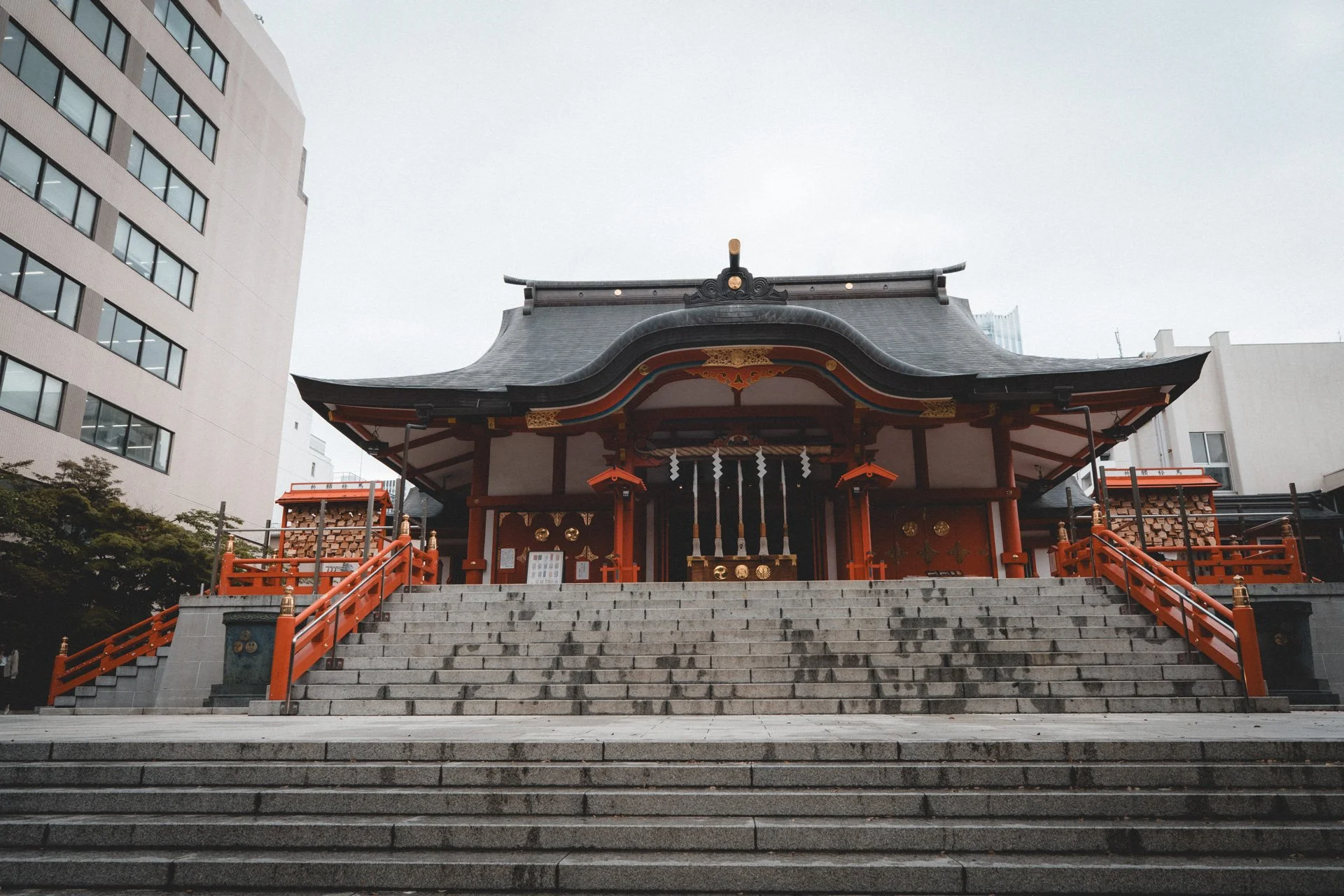 DSCF8189.jpg