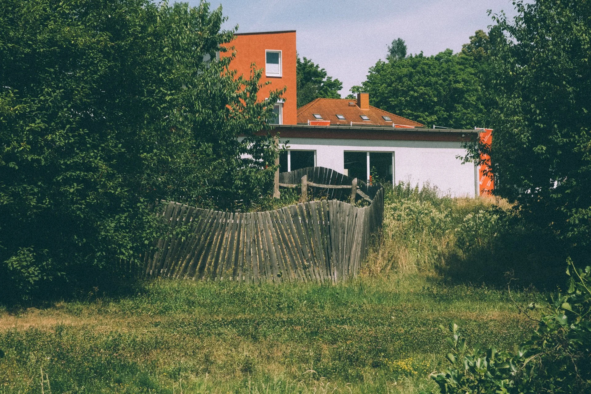 DSCF0387.jpg