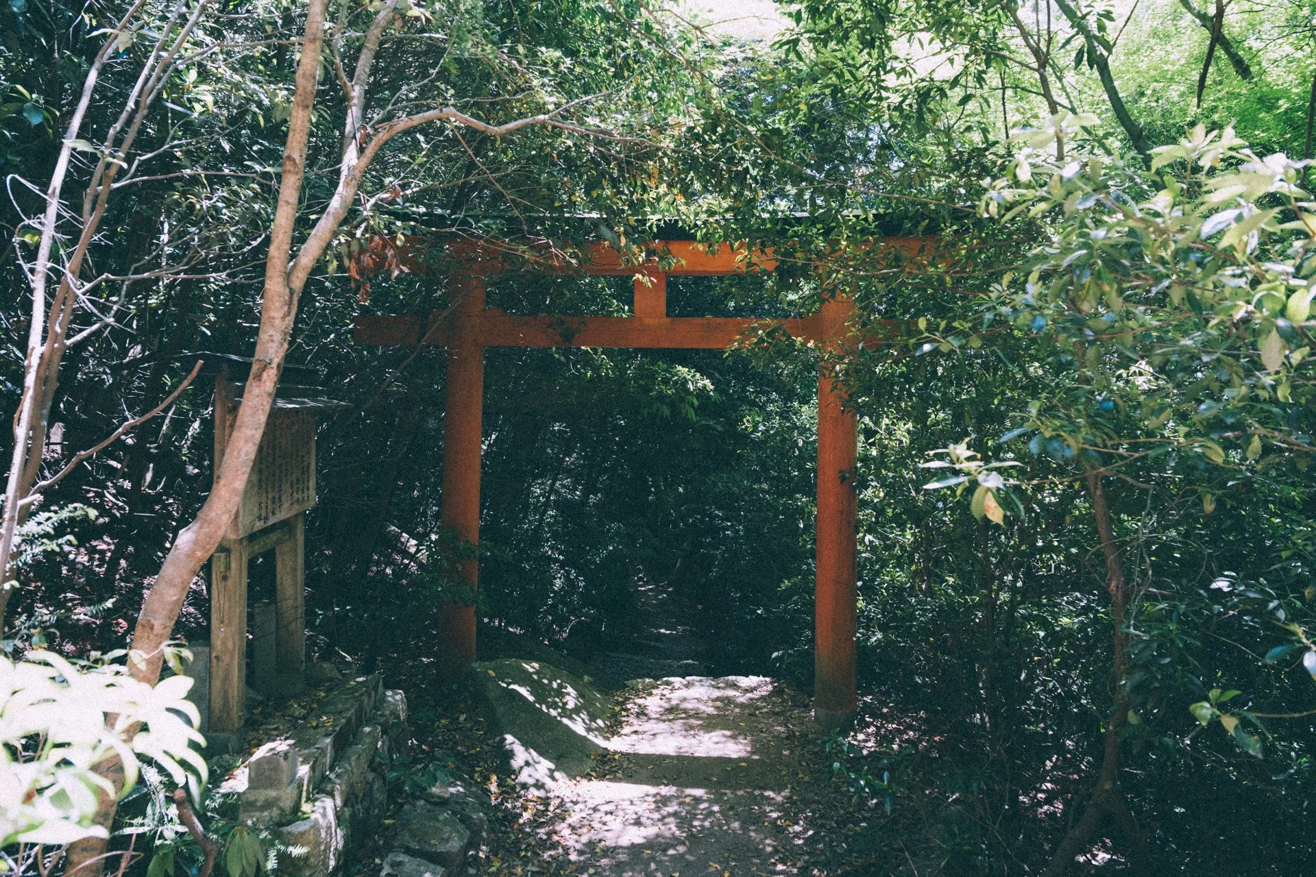 DSCF1627.jpg