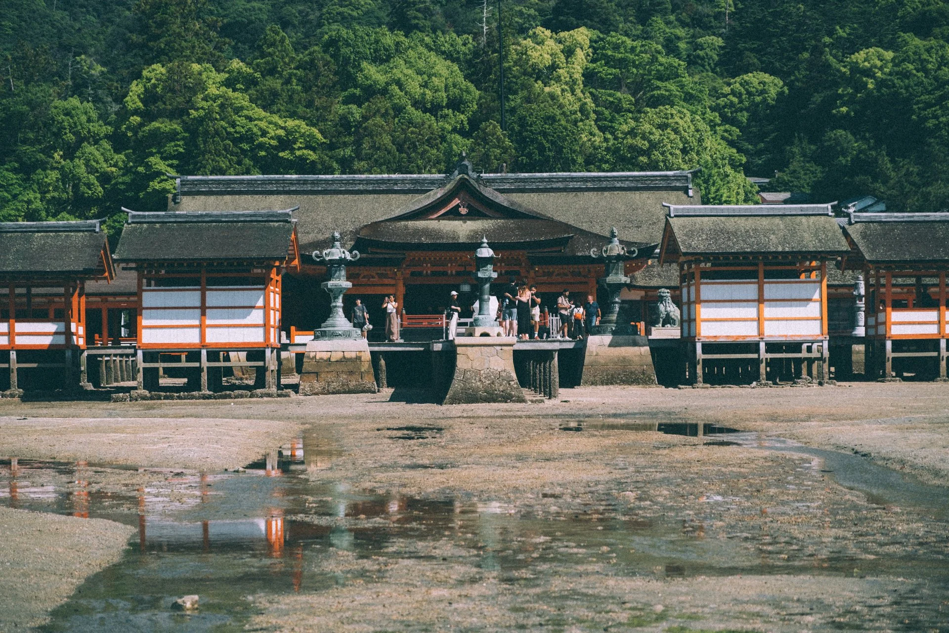 DSCF1818.jpg