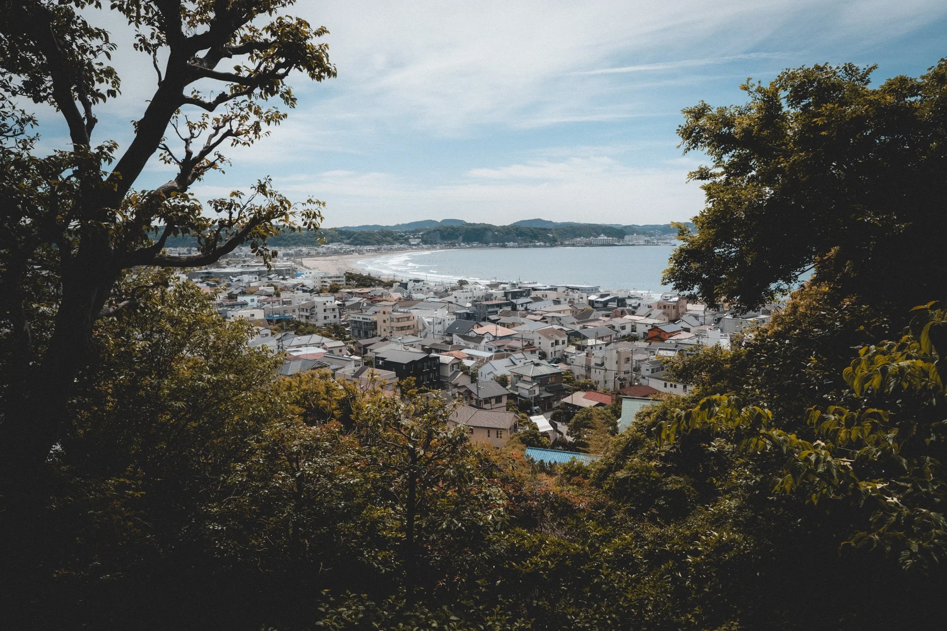 DSCF8385.jpg