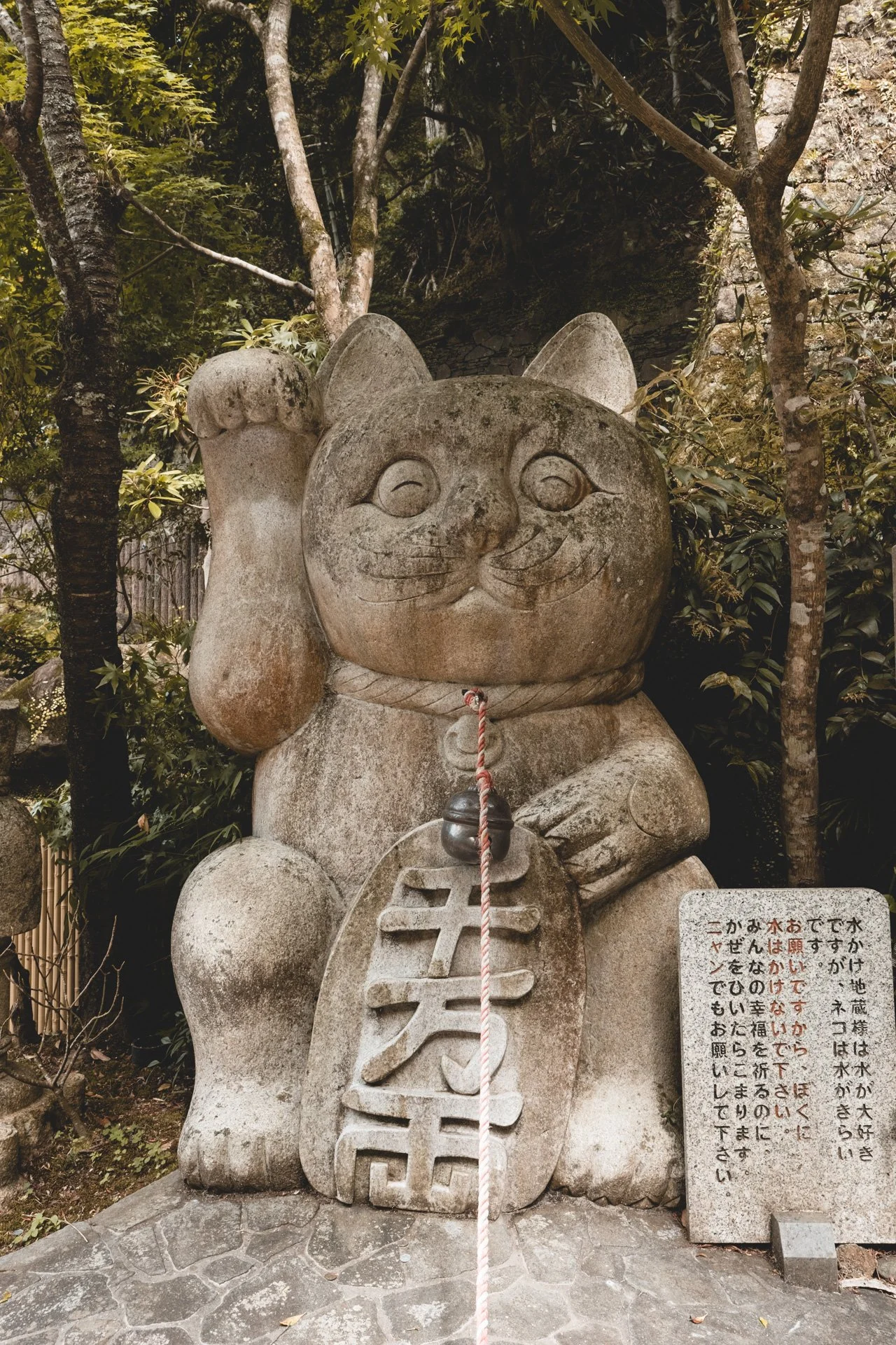DSCF2132.jpg
