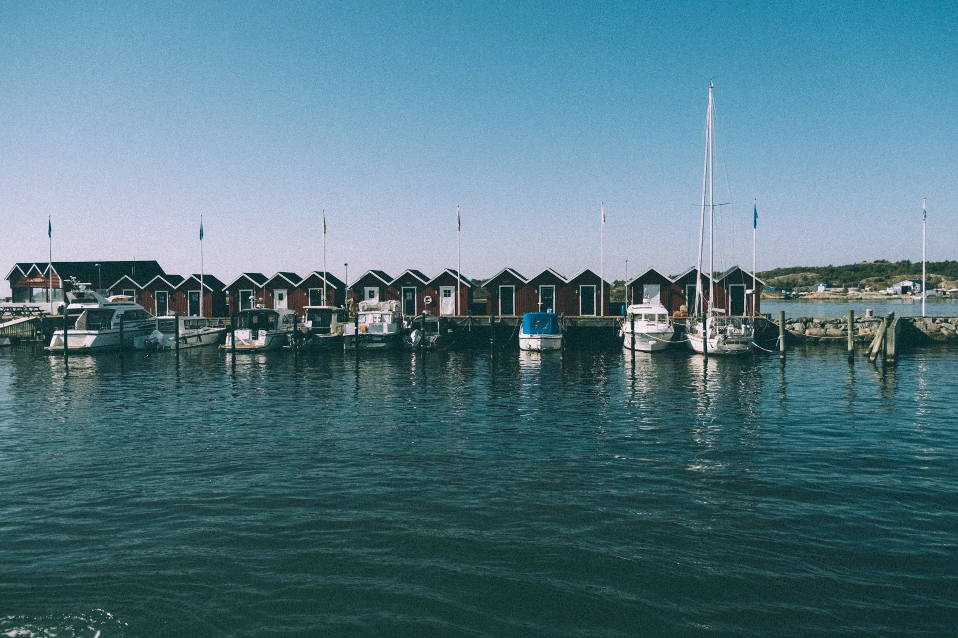 DSCF5537.jpg