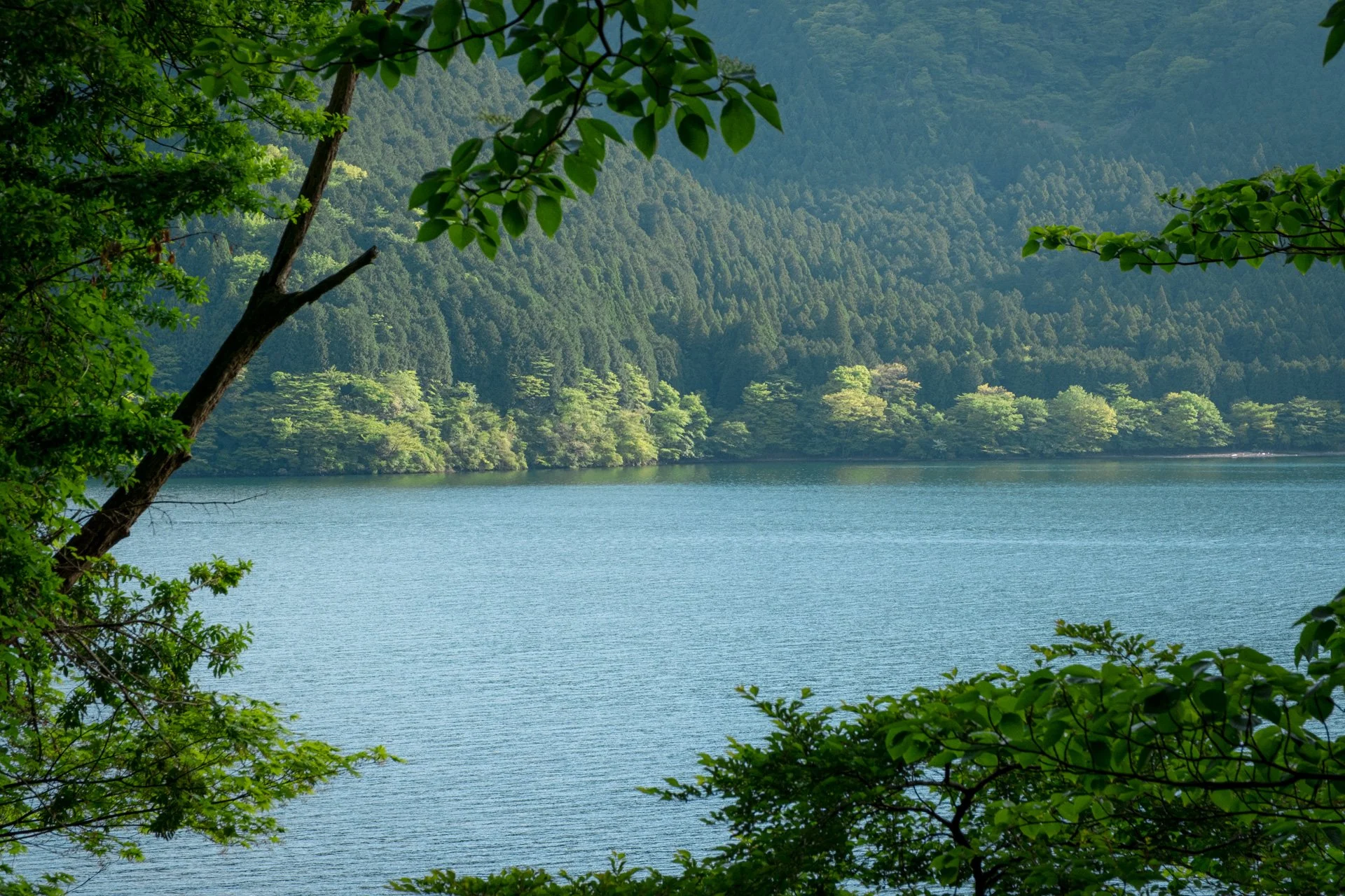 DSCF8902.jpg