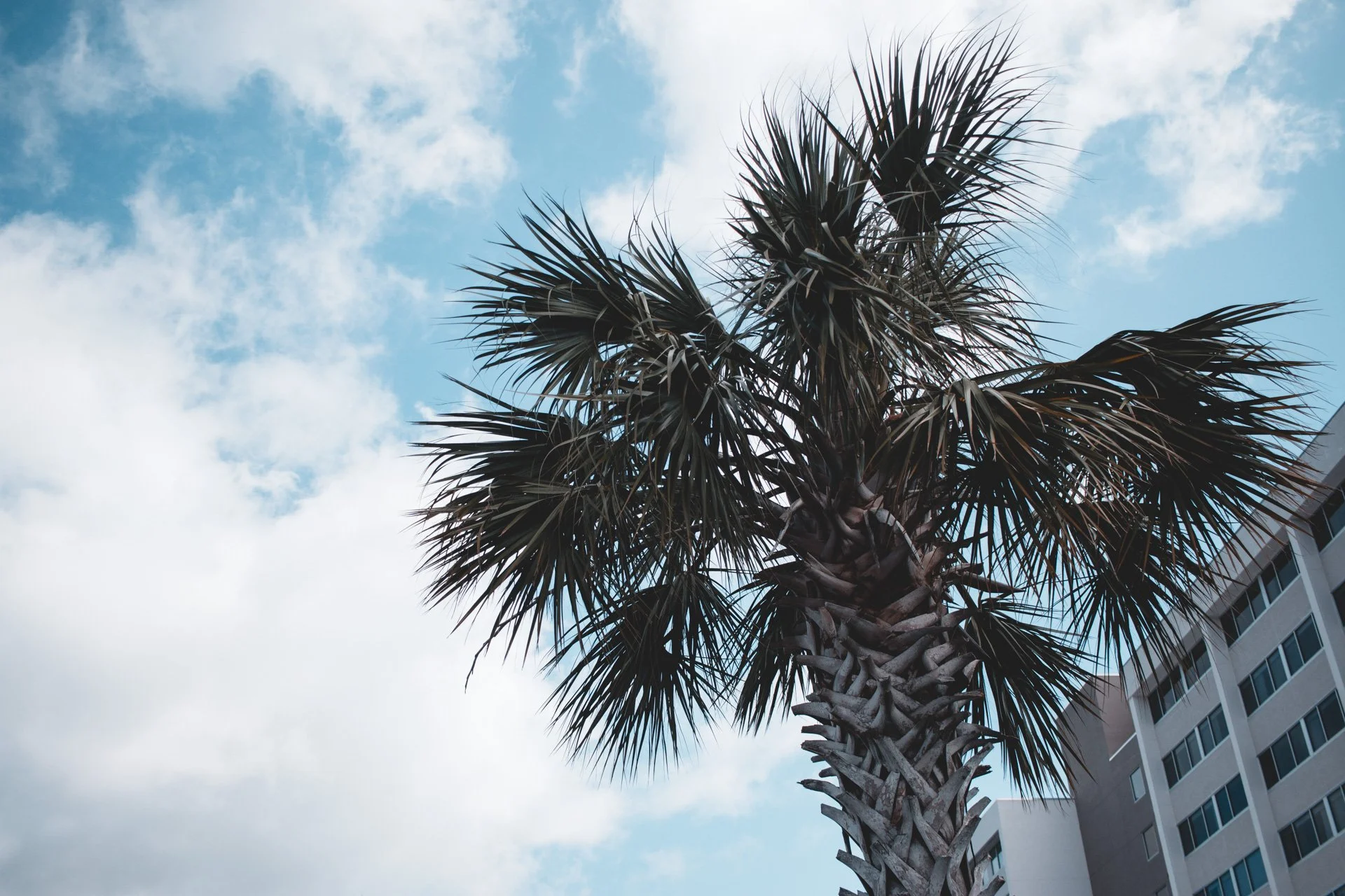 wilmington-577.jpg