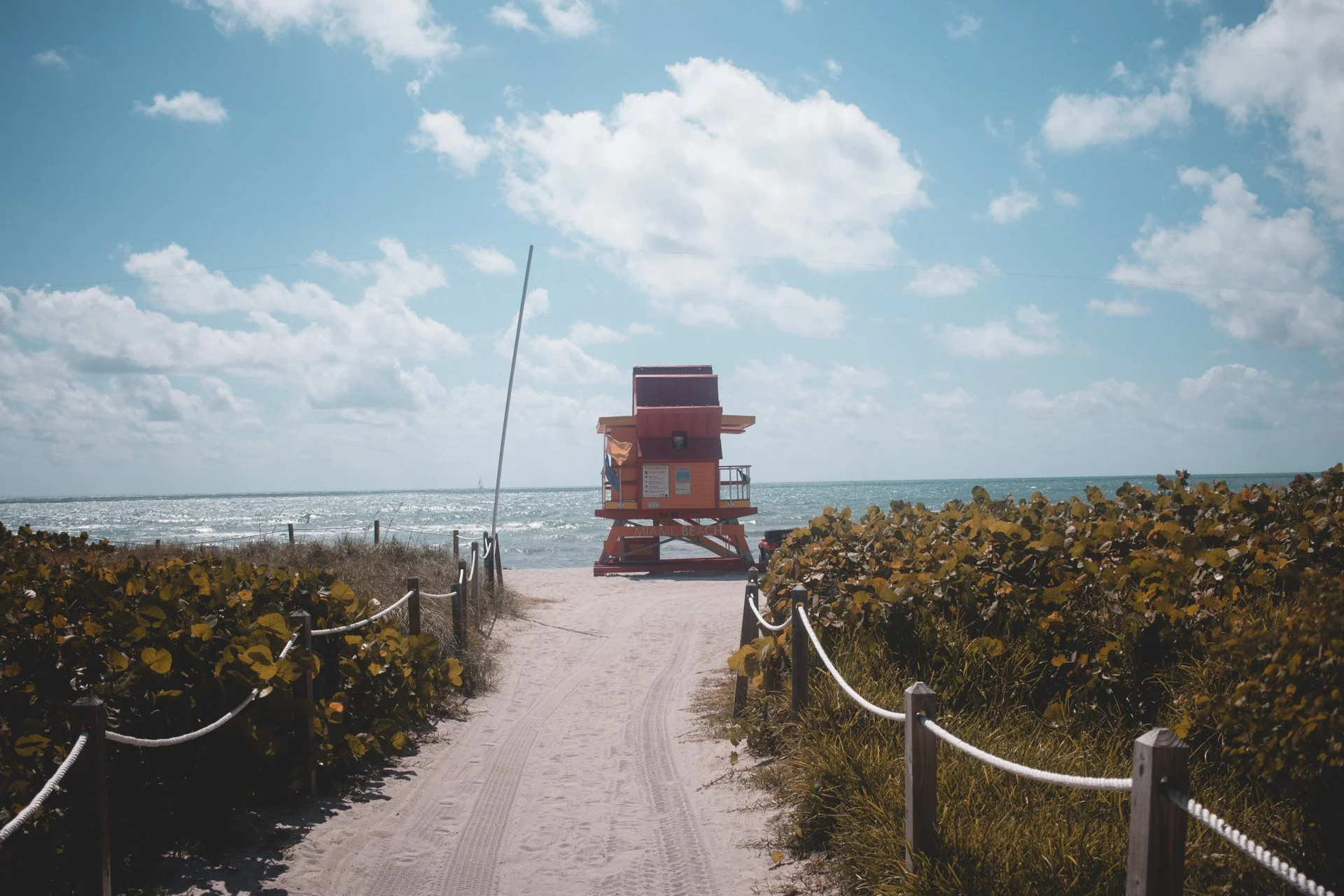 miami-236.jpg