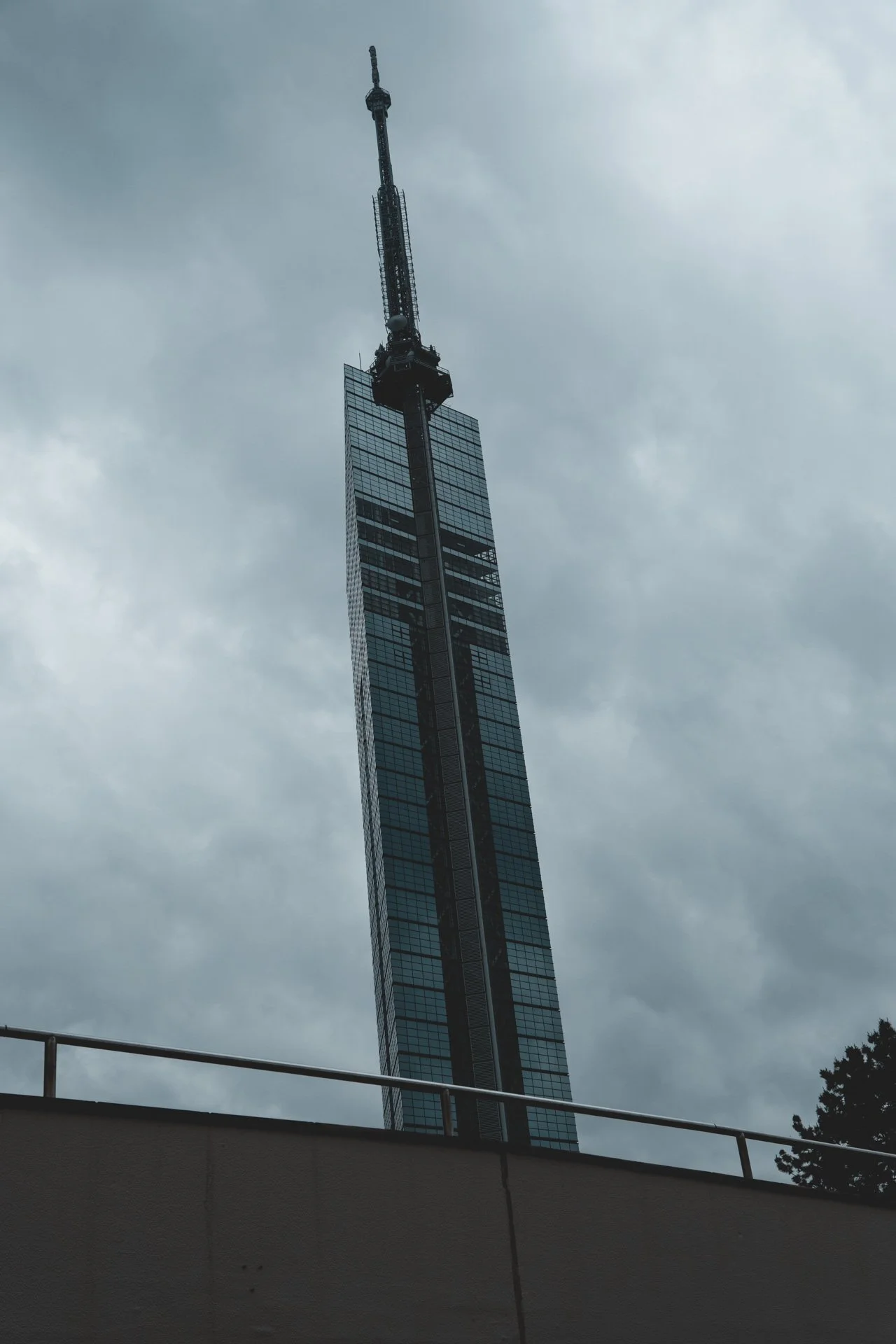 DSCF2419.jpg