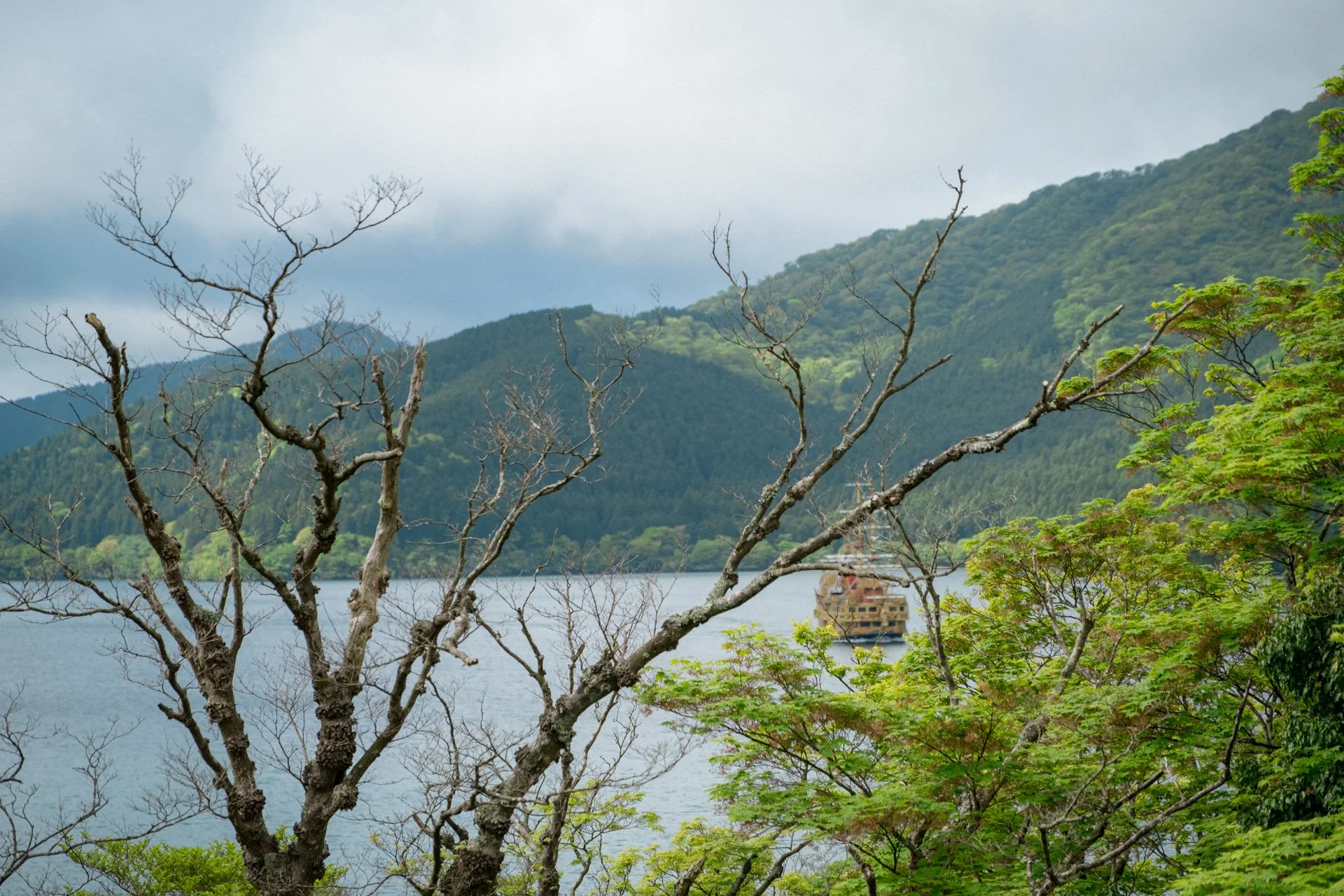 DSCF8942.jpg