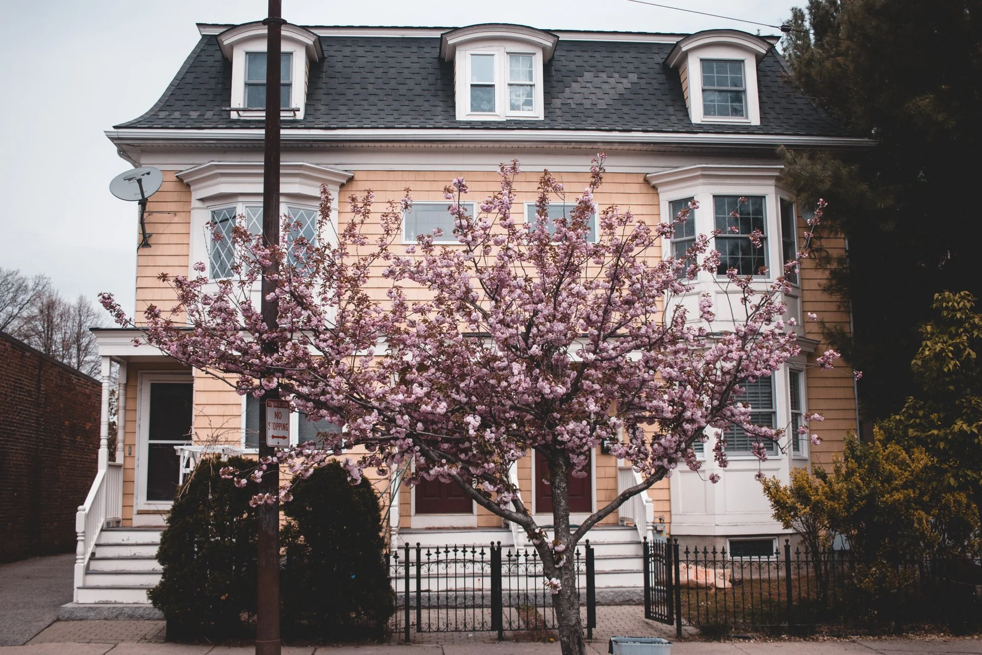 Boston-01.jpg