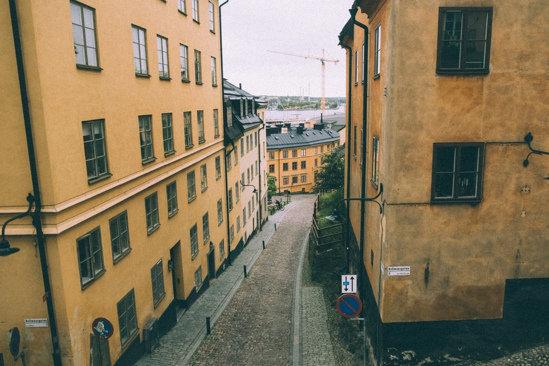 DSCF6103.jpg