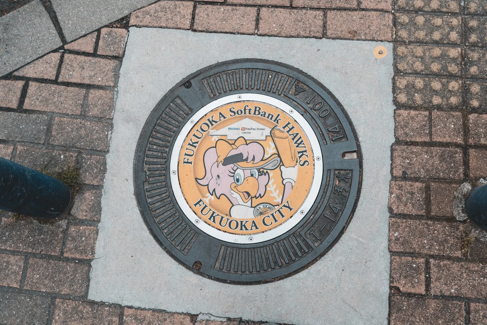 DSCF2360.jpg