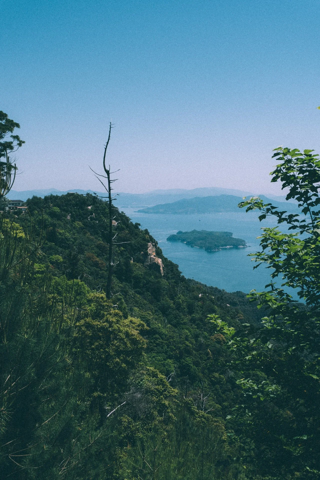 DSCF1558.jpg