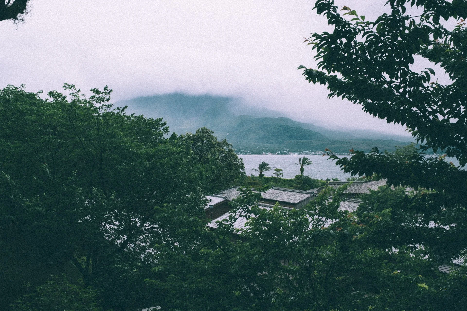 DSCF3883.jpg