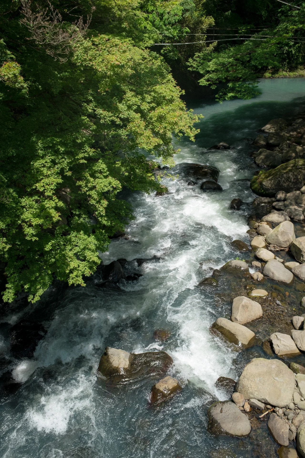 DSCF9076.jpg