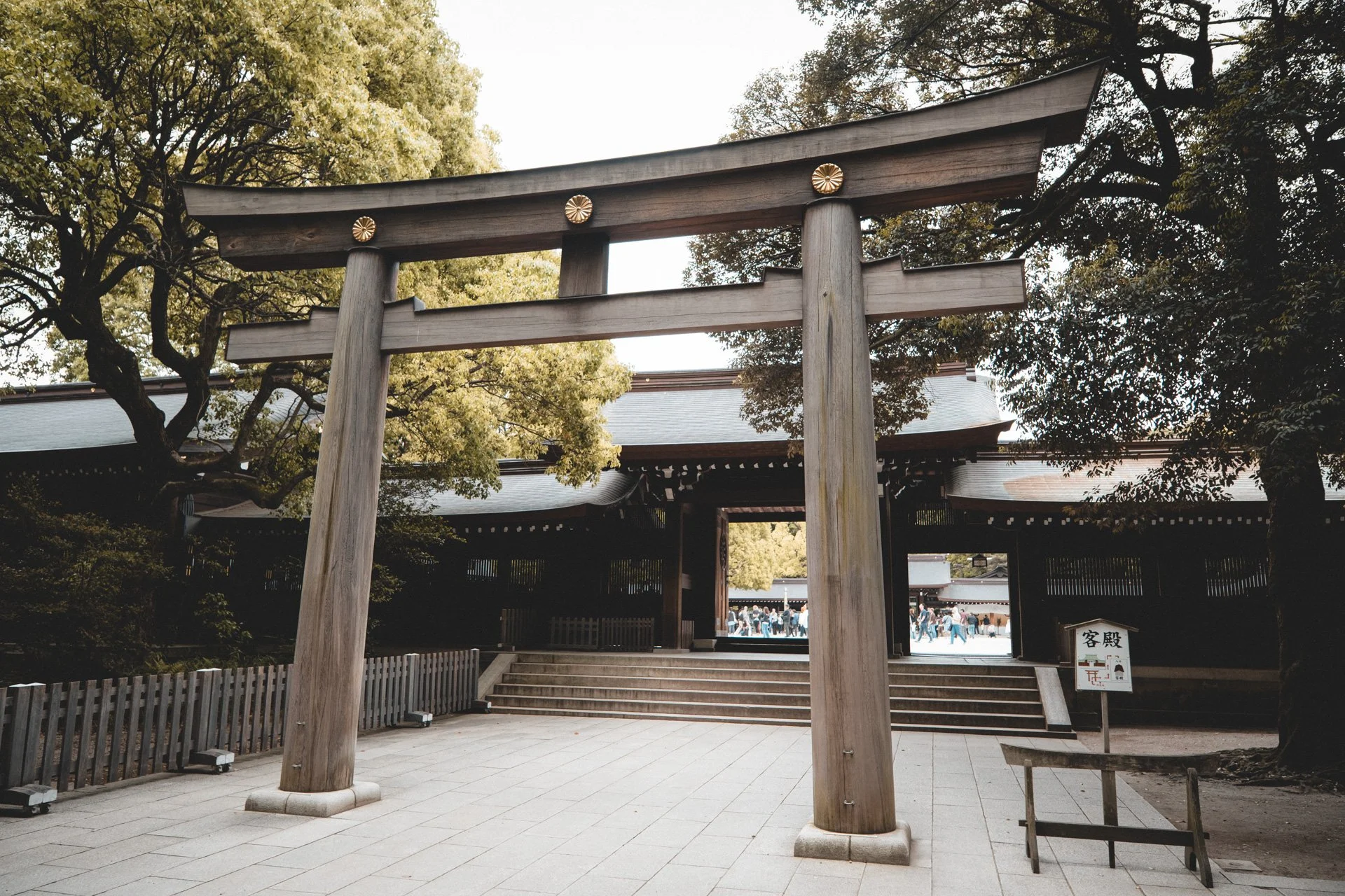 DSCF7045.jpg