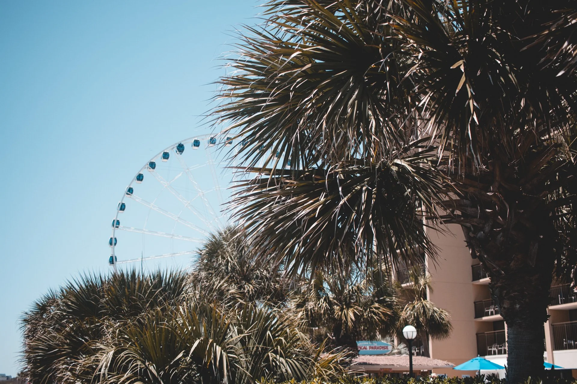 myrtle-289.jpg