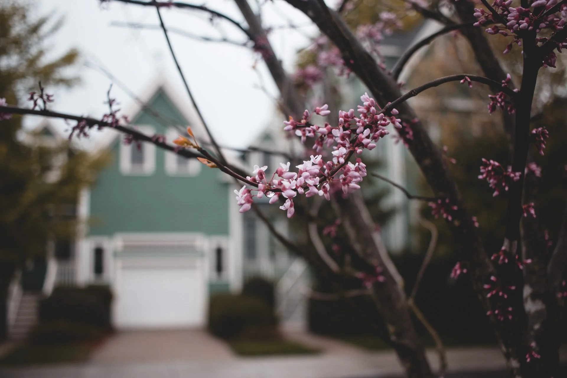 Boston-06.jpg