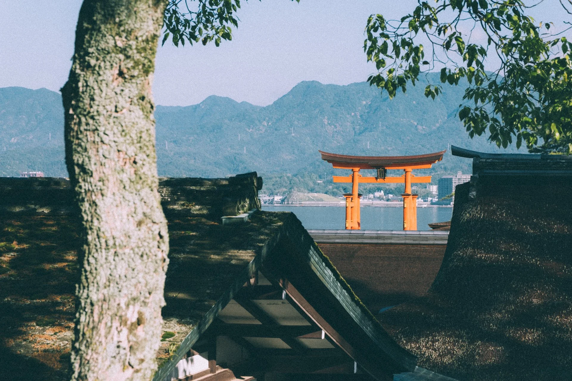 DSCF1954.jpg