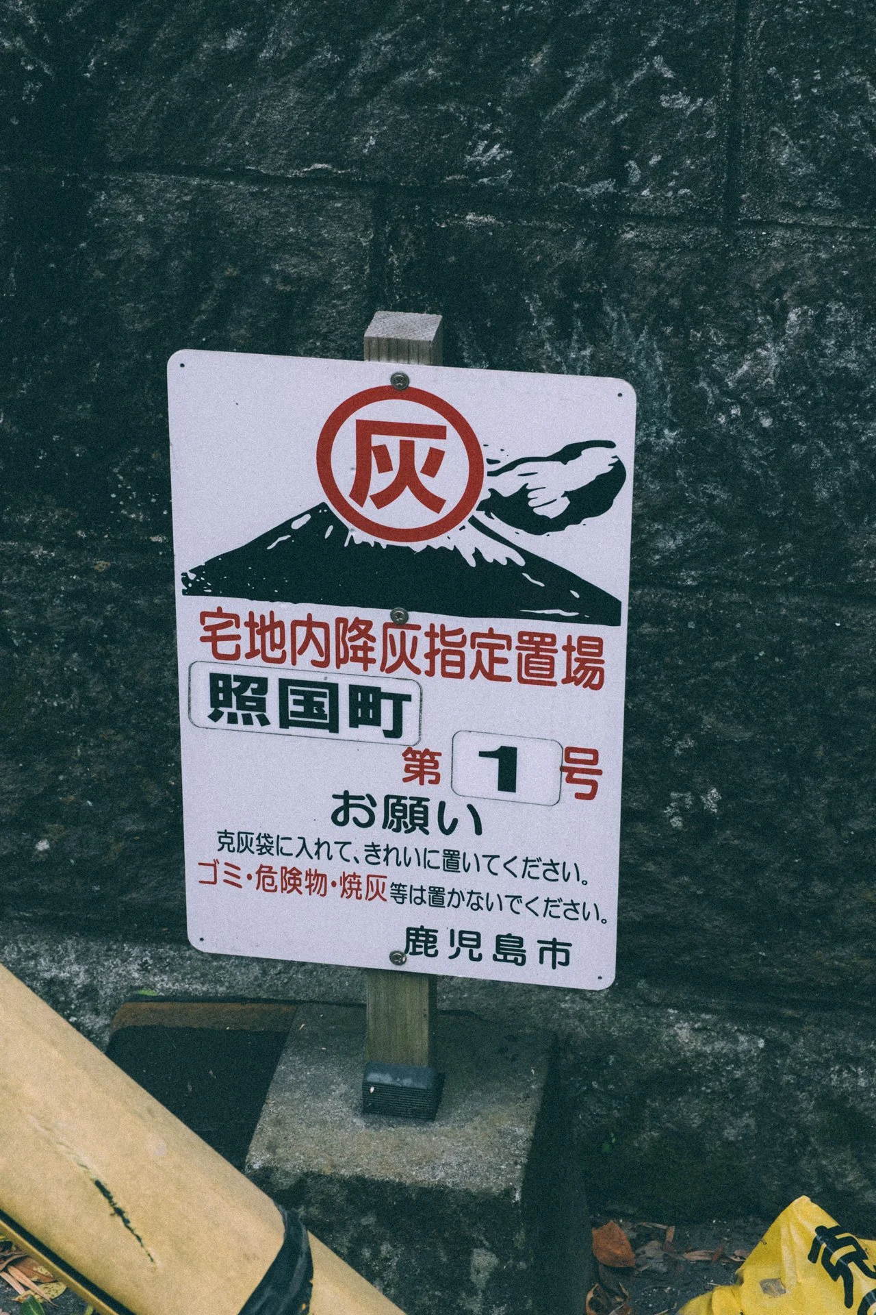 DSCF3179.jpg