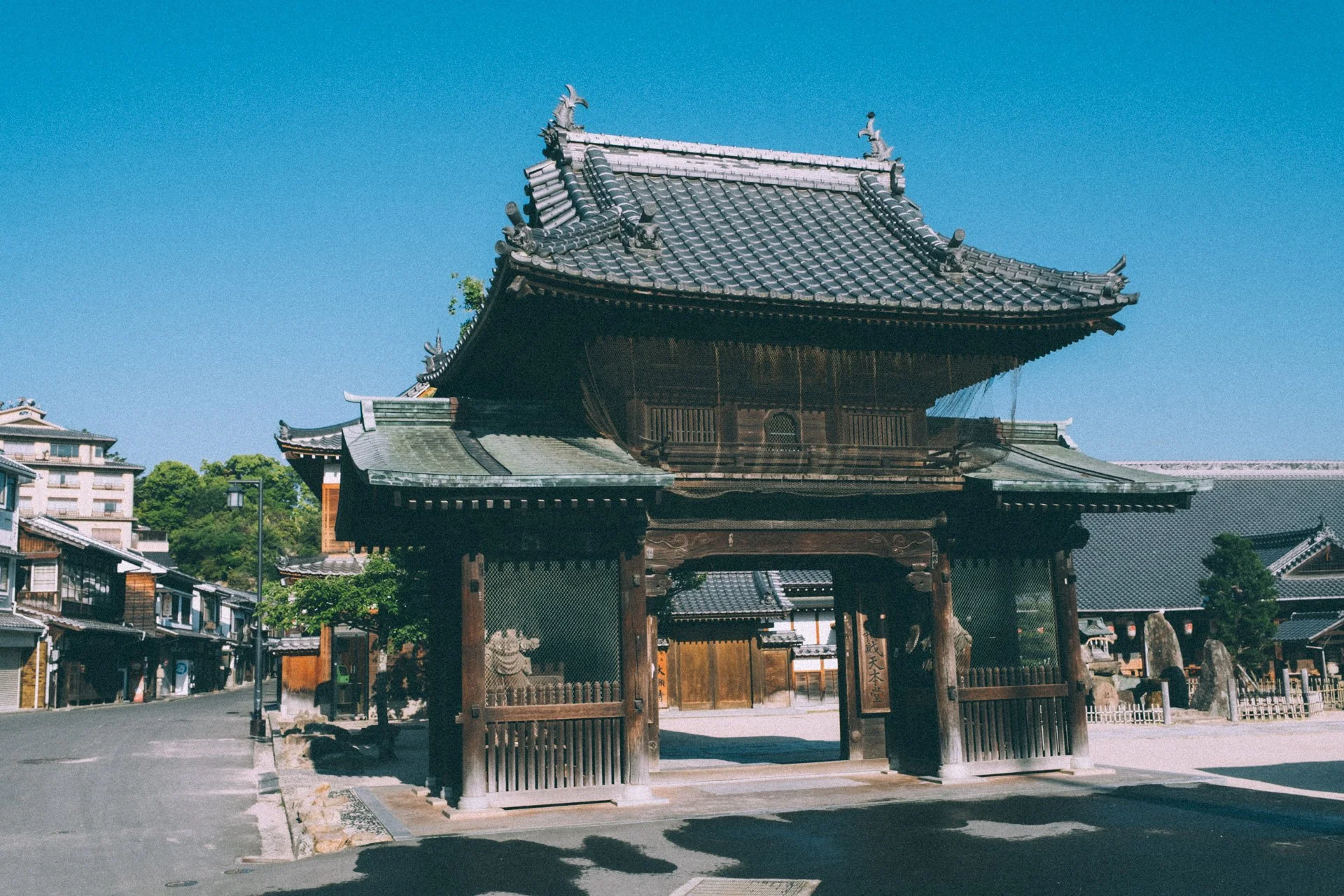 DSCF1957.jpg