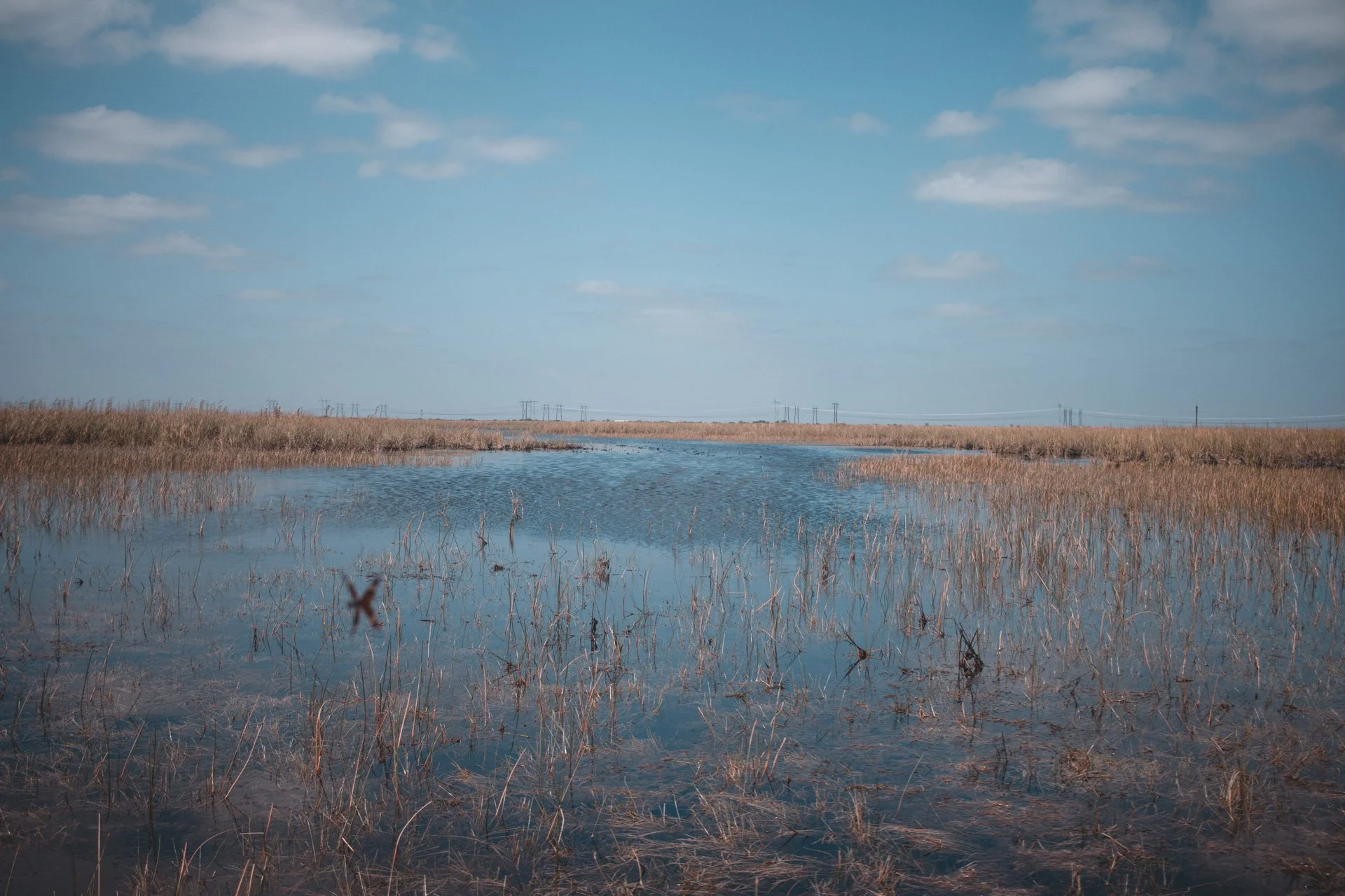 everglades-170.jpg