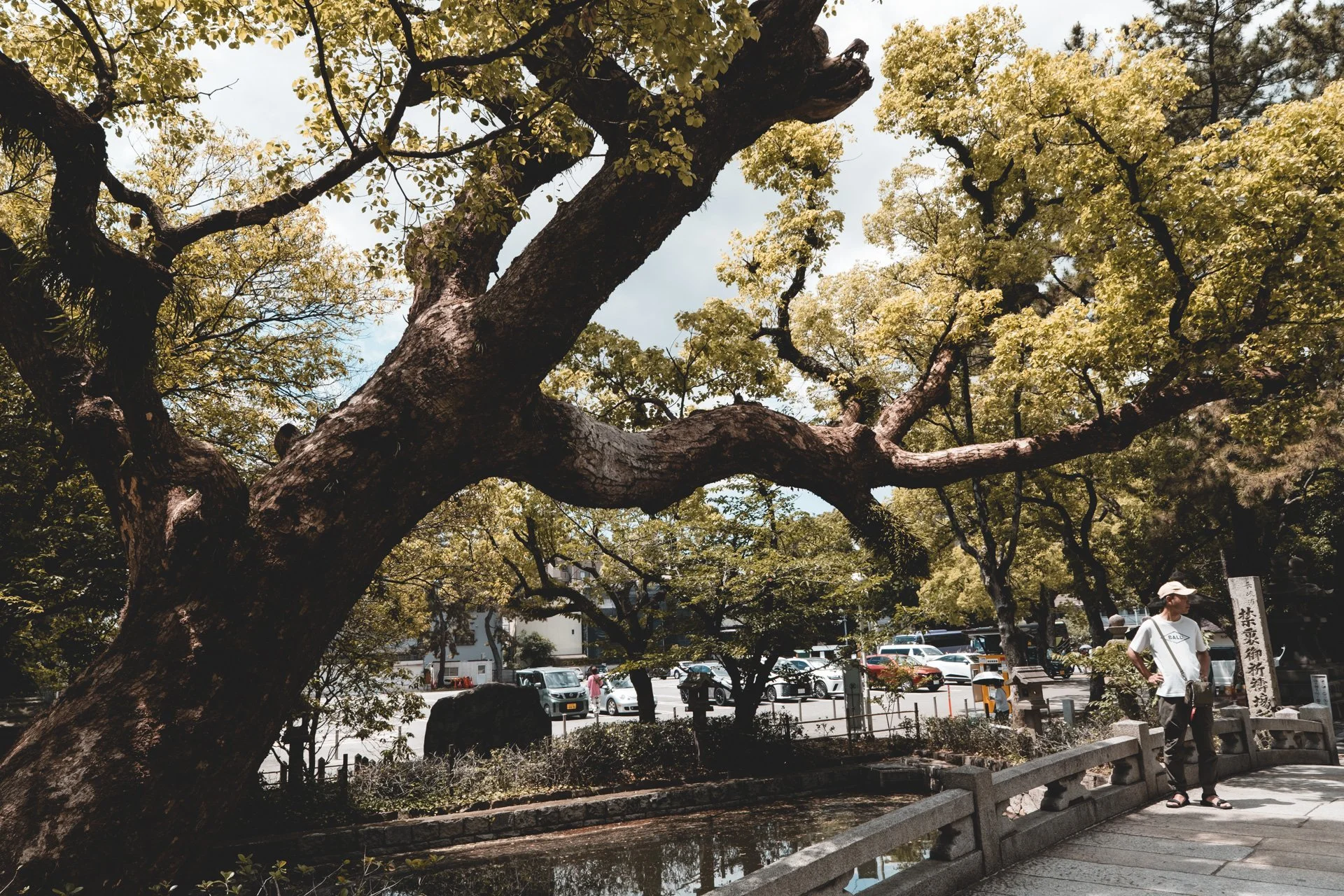 DSCF4735.jpg