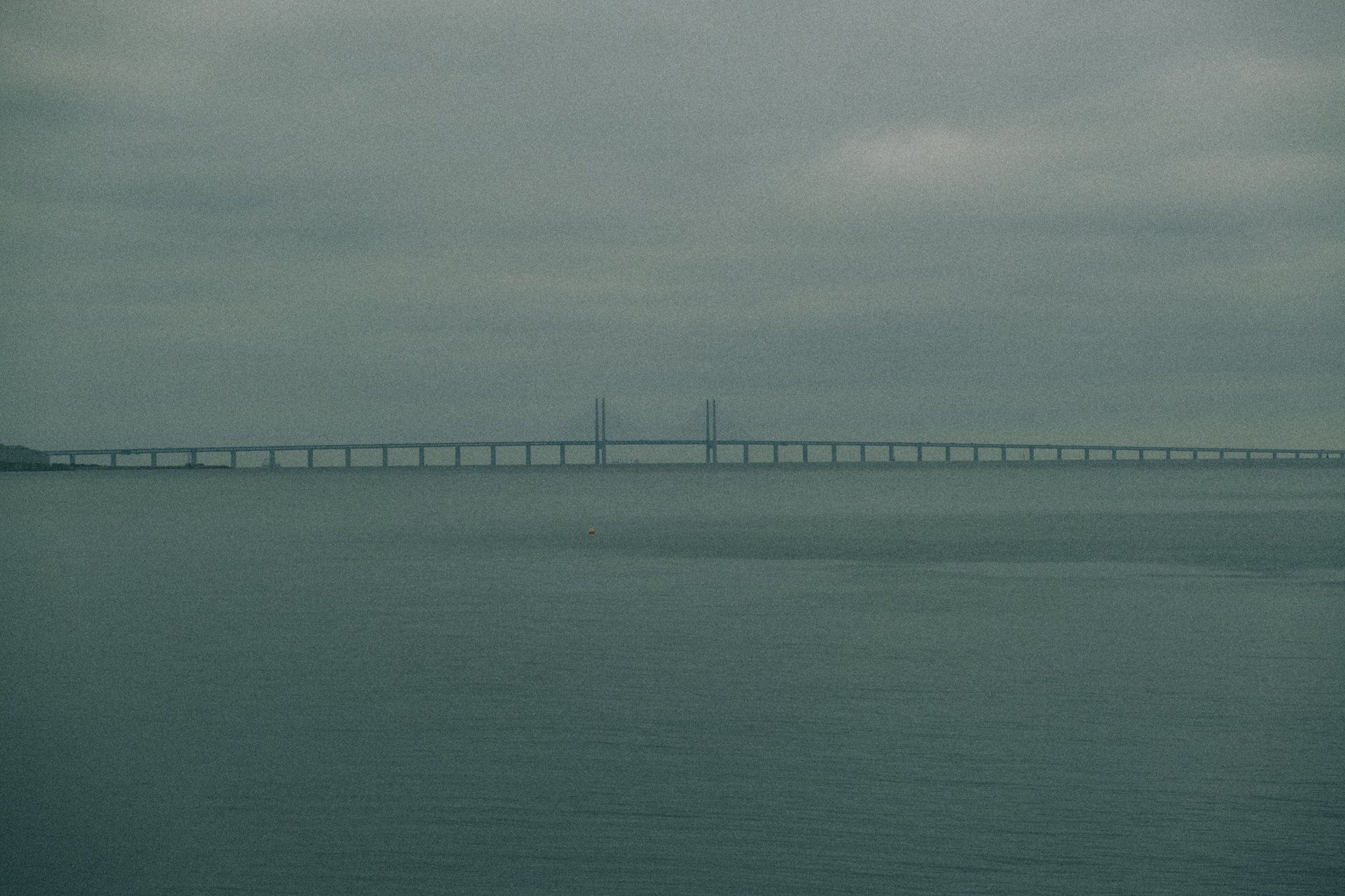 DSCF4856.jpg