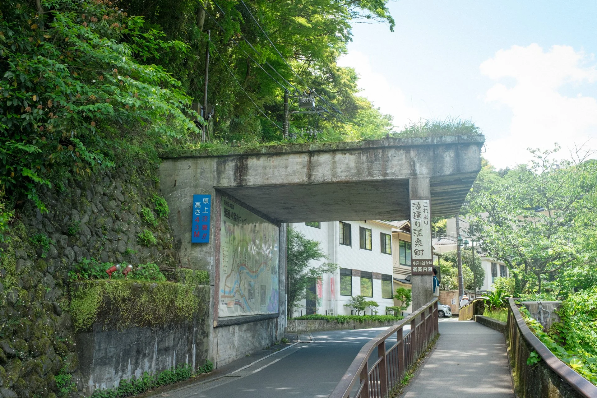 DSCF9091.jpg