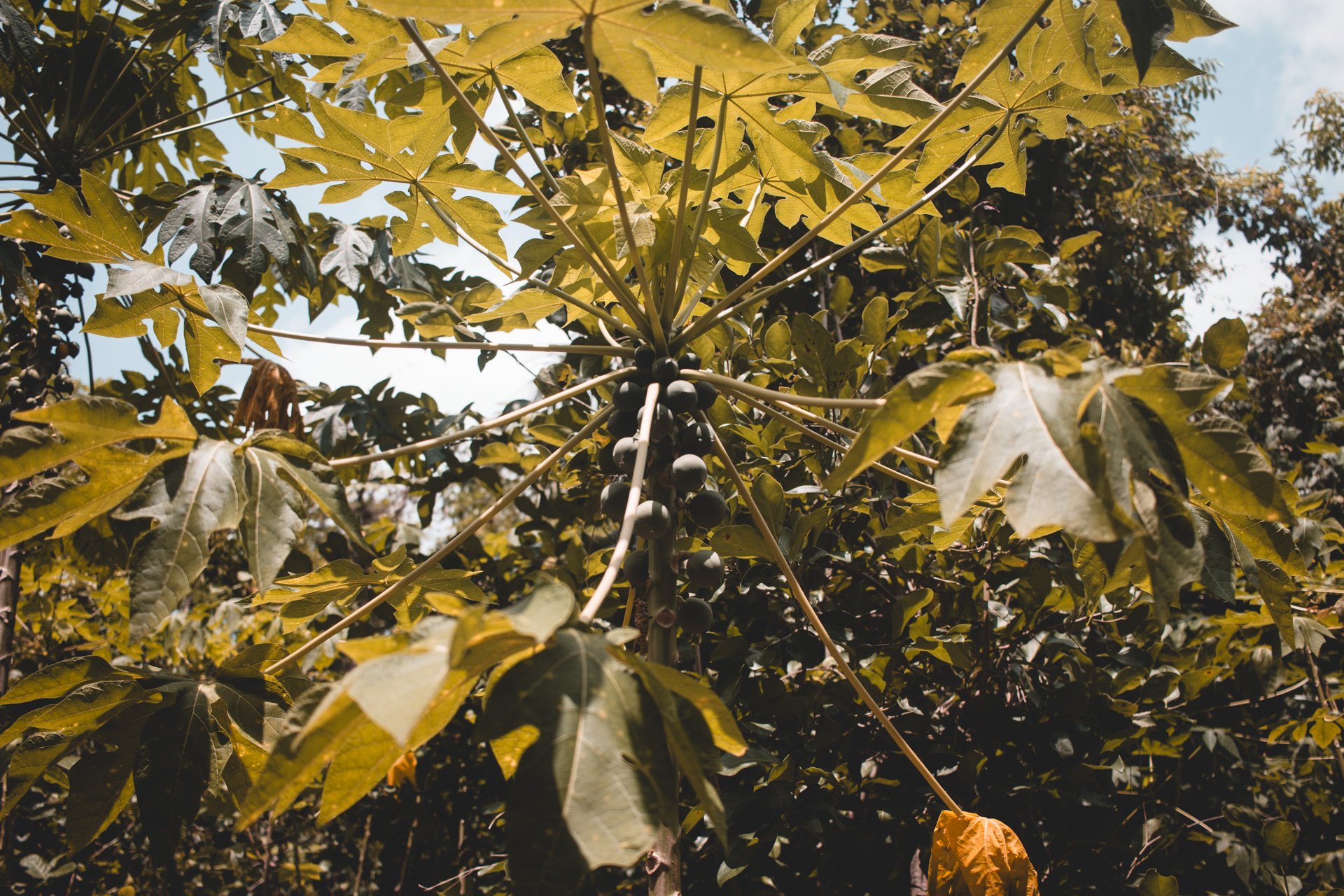everglades-186.jpg